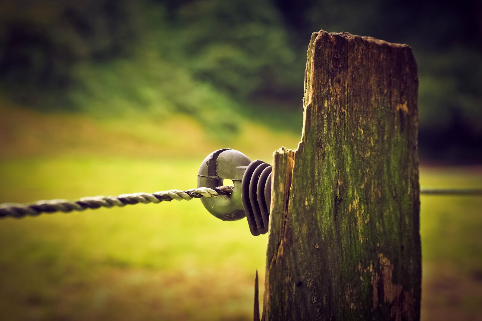 Olympus OM-D E-M10 sample photo. Fence, wood, nature photography