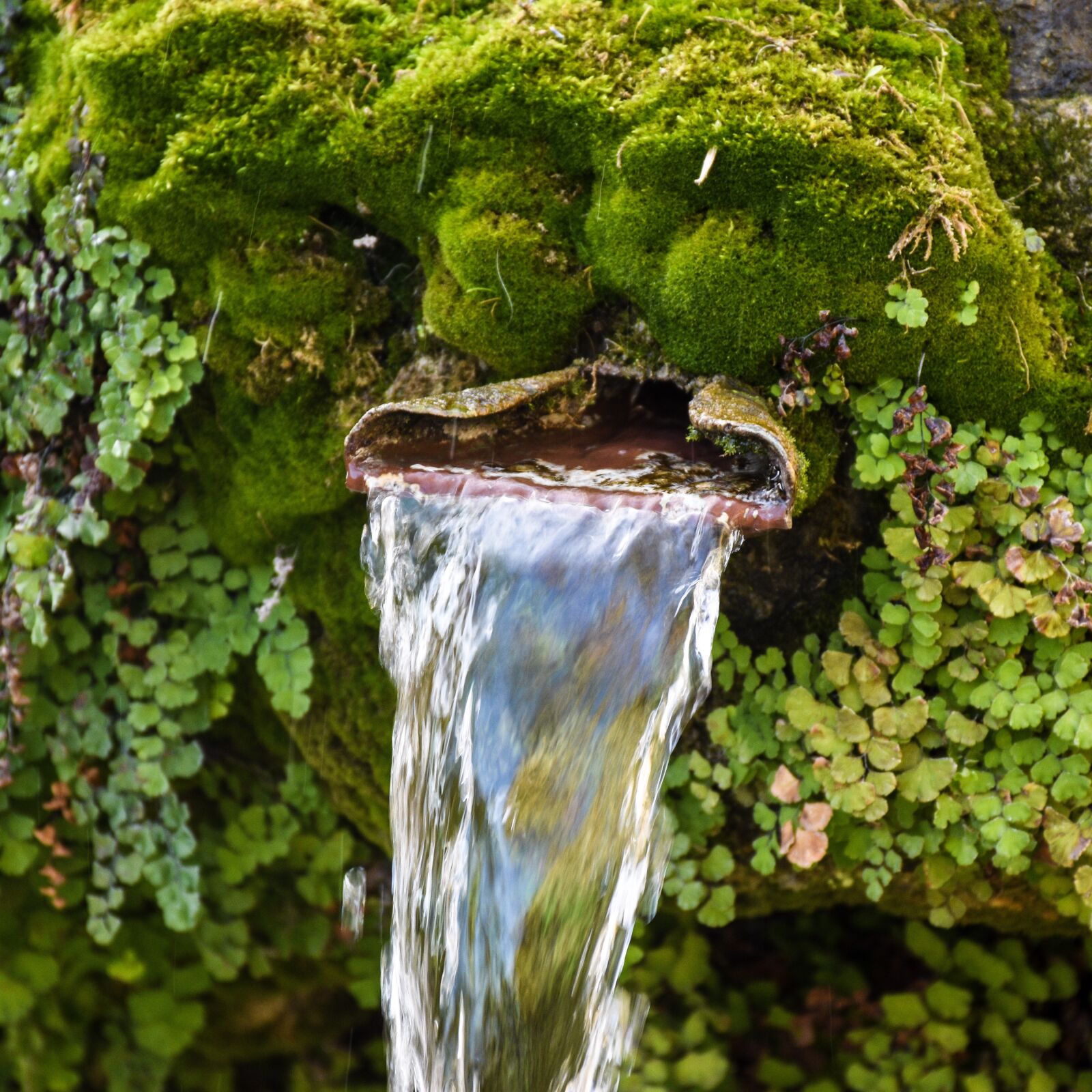 Nikon D5600 sample photo. Water, fountain, water works photography