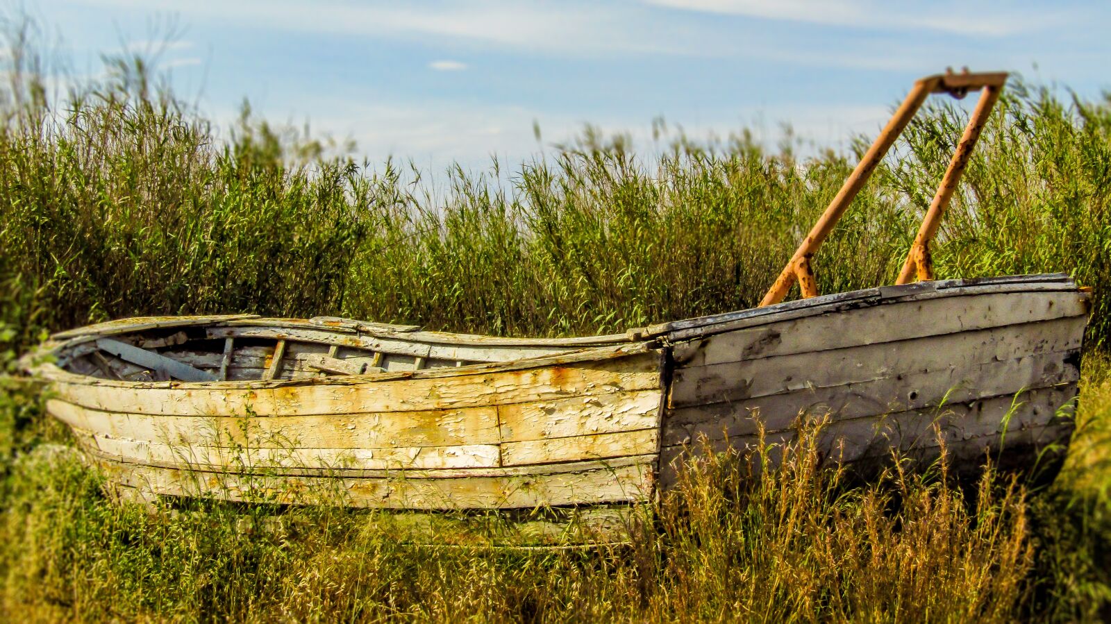 Canon PowerShot SX410 IS sample photo. Boat, old, abandoned photography