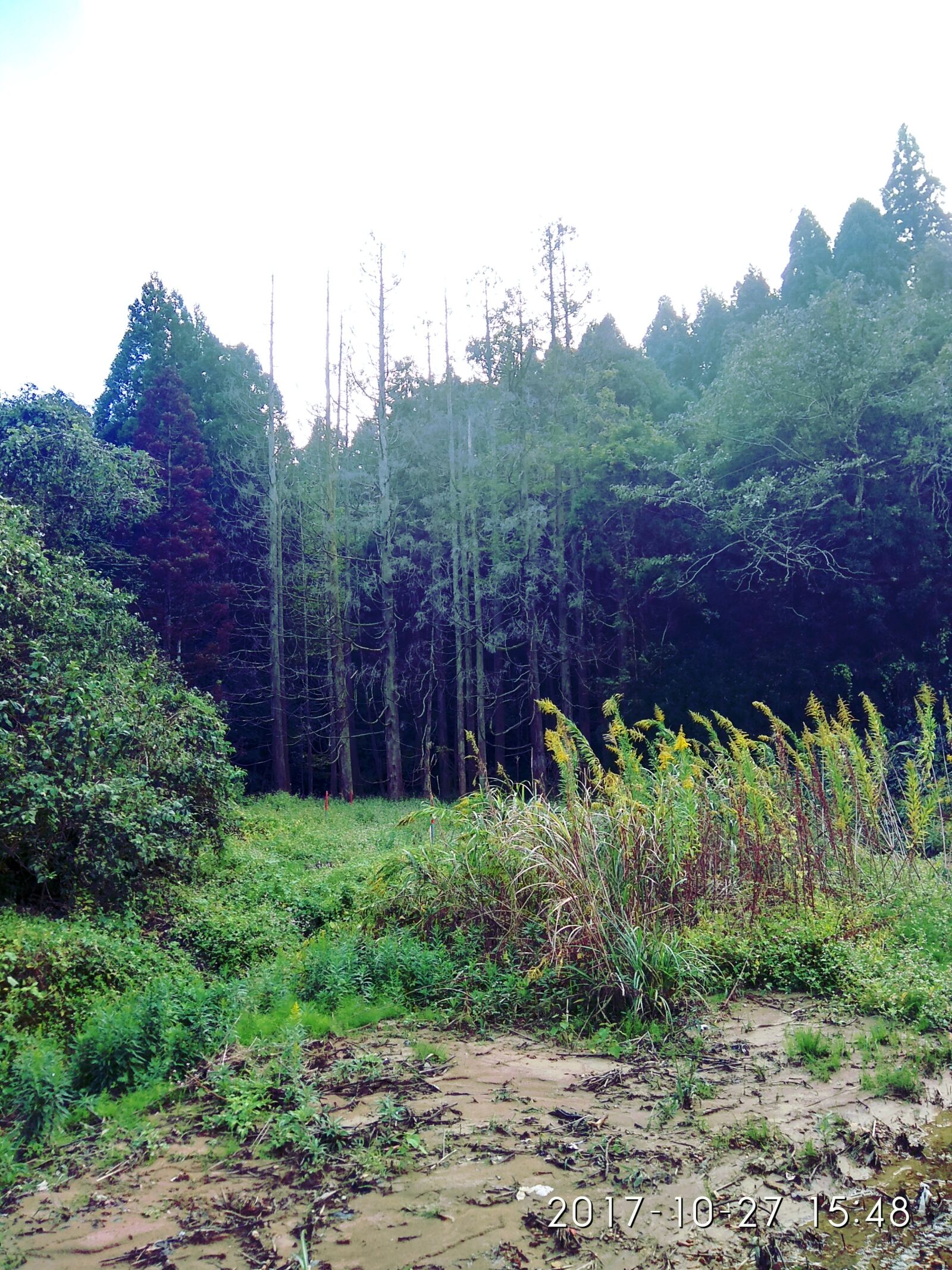 Xiaomi Redmi Note 4 sample photo