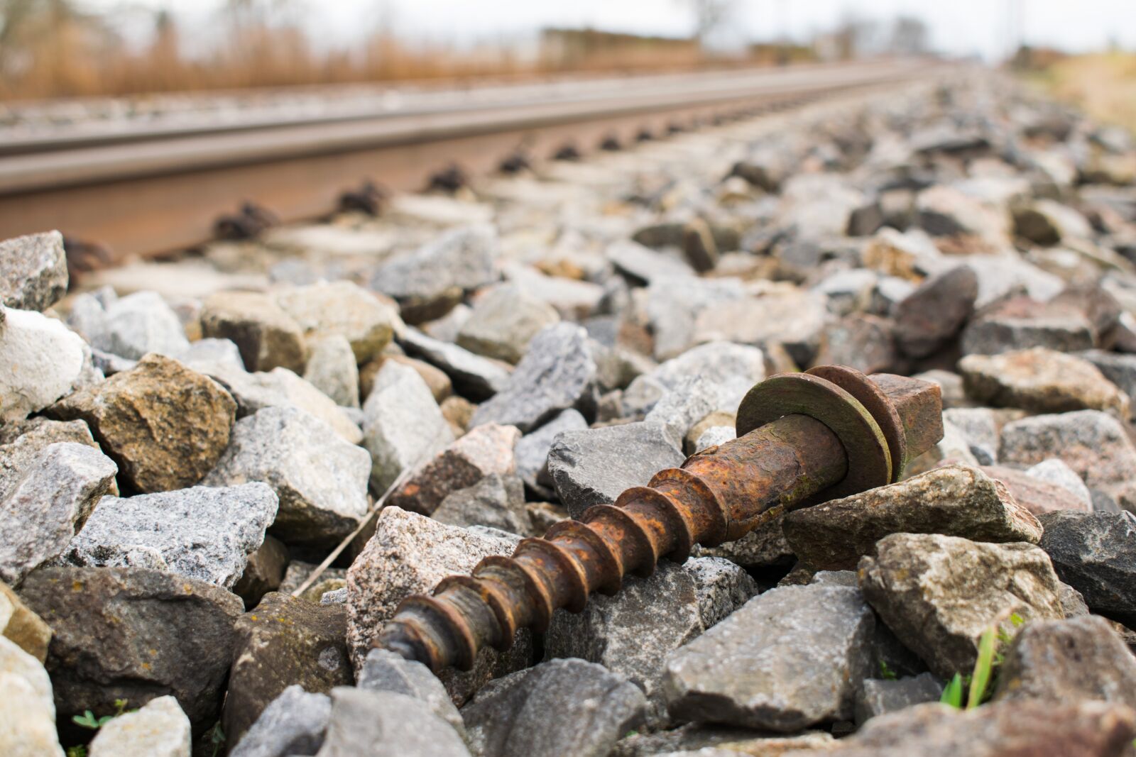 Nikon D3300 sample photo. Screw, outdoors, track photography