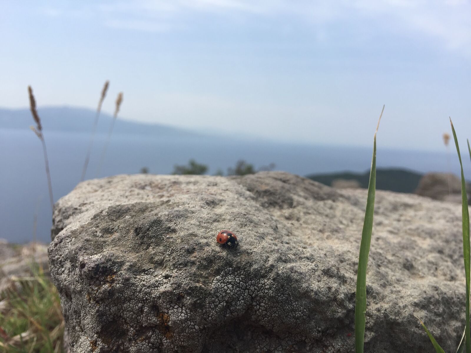 iPhone 6 Plus back camera 4.15mm f/2.2 sample photo. Assos, ancient city, nature photography