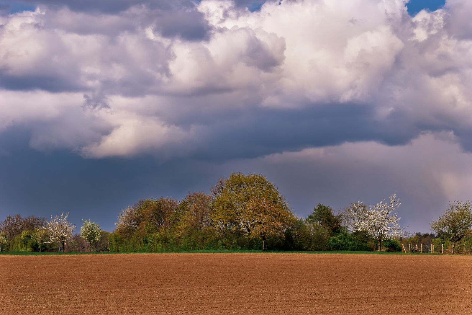 Nikon D3300 sample photo. Landscape, field, sky photography