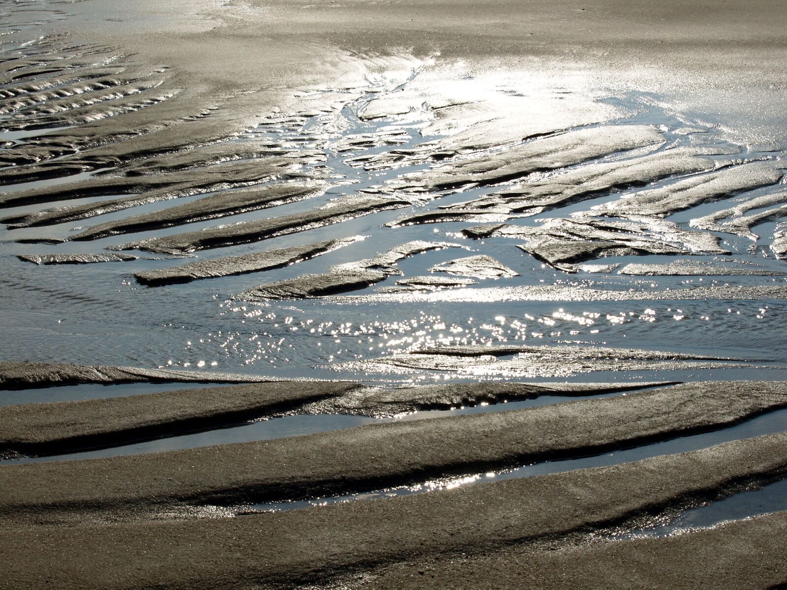 Olympus E-330 (EVOLT E-330) sample photo. Beach, north sea, pril photography