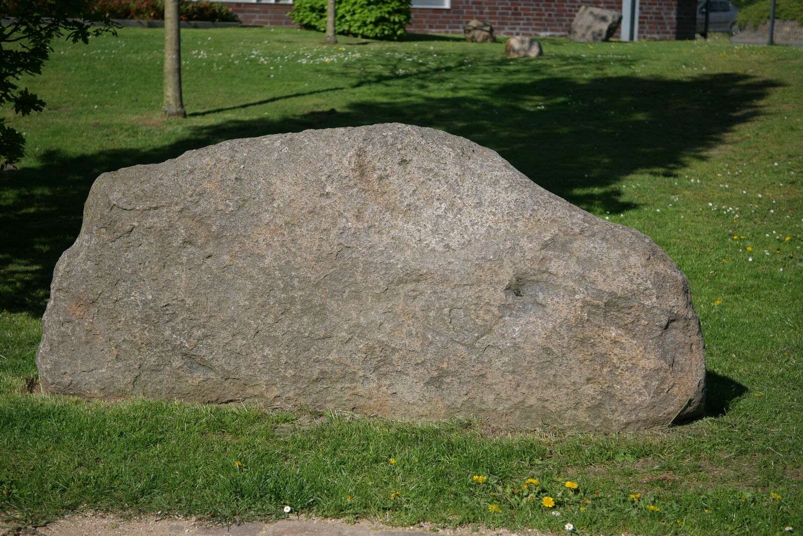 Panasonic DMC-G70 sample photo. Grass, nature, stone photography