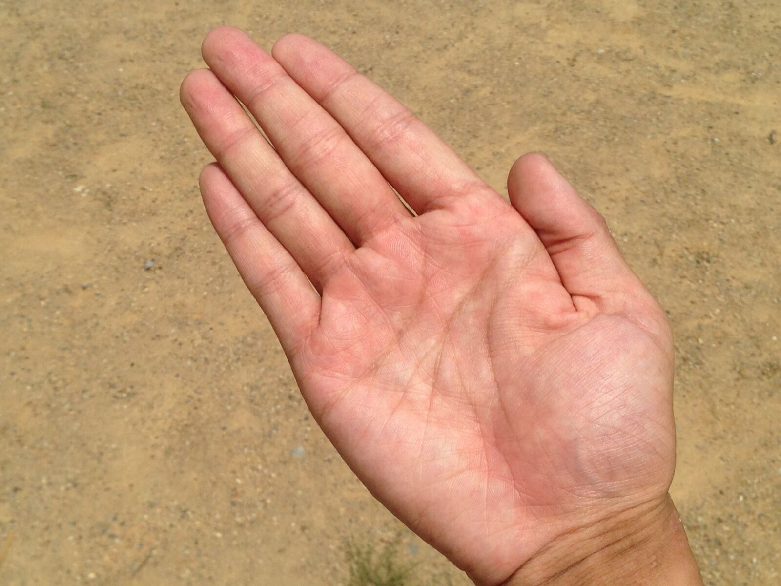 iPhone 5 back camera 4.12mm f/2.4 sample photo. Palm, hand, finger photography