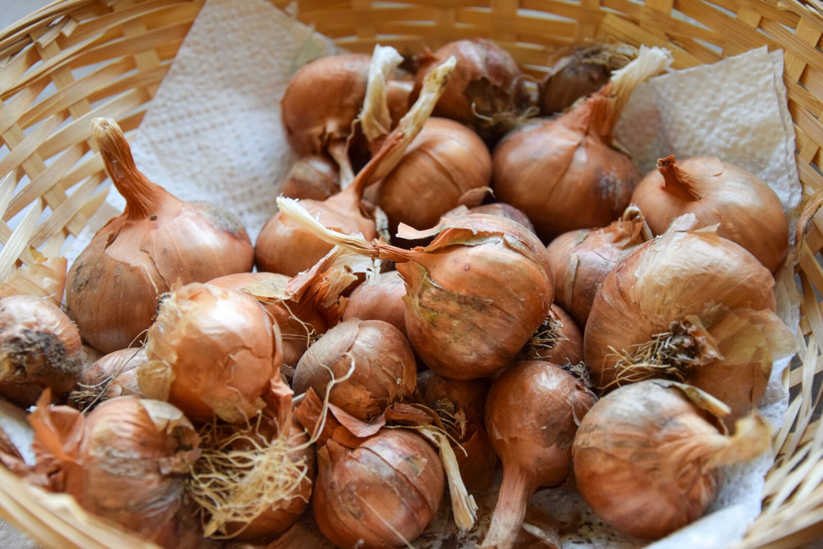 Nikon D5300 sample photo. Shallots, spices, kitchen photography