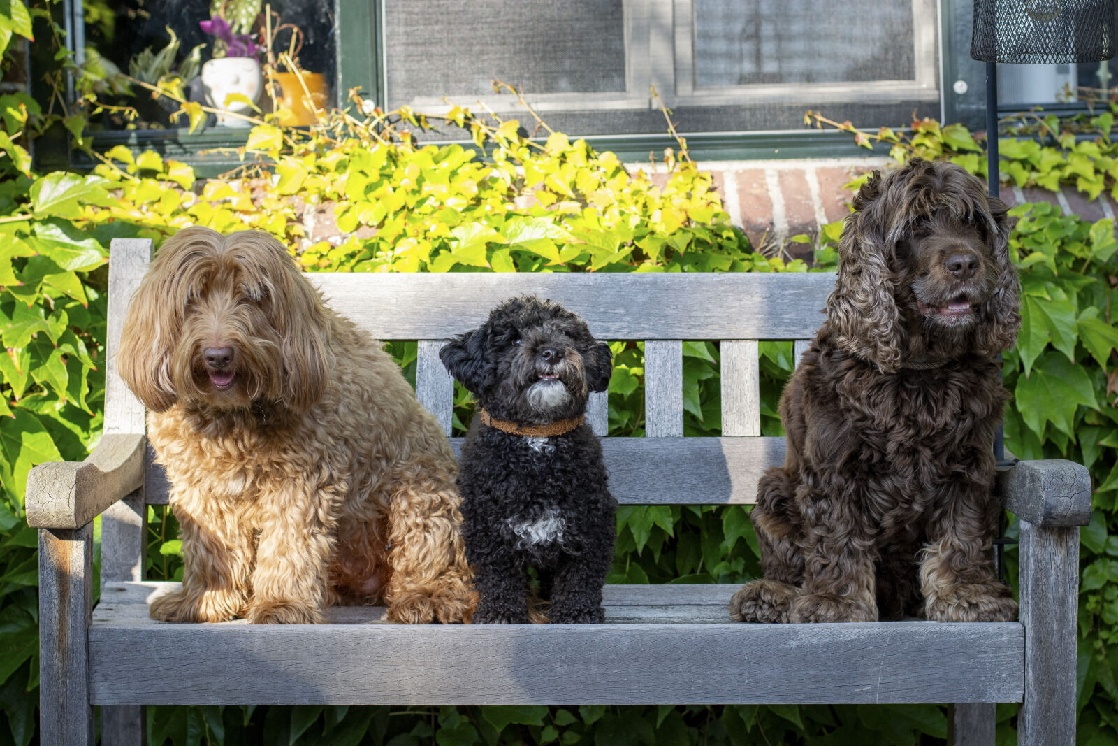 Nikon D5200 sample photo