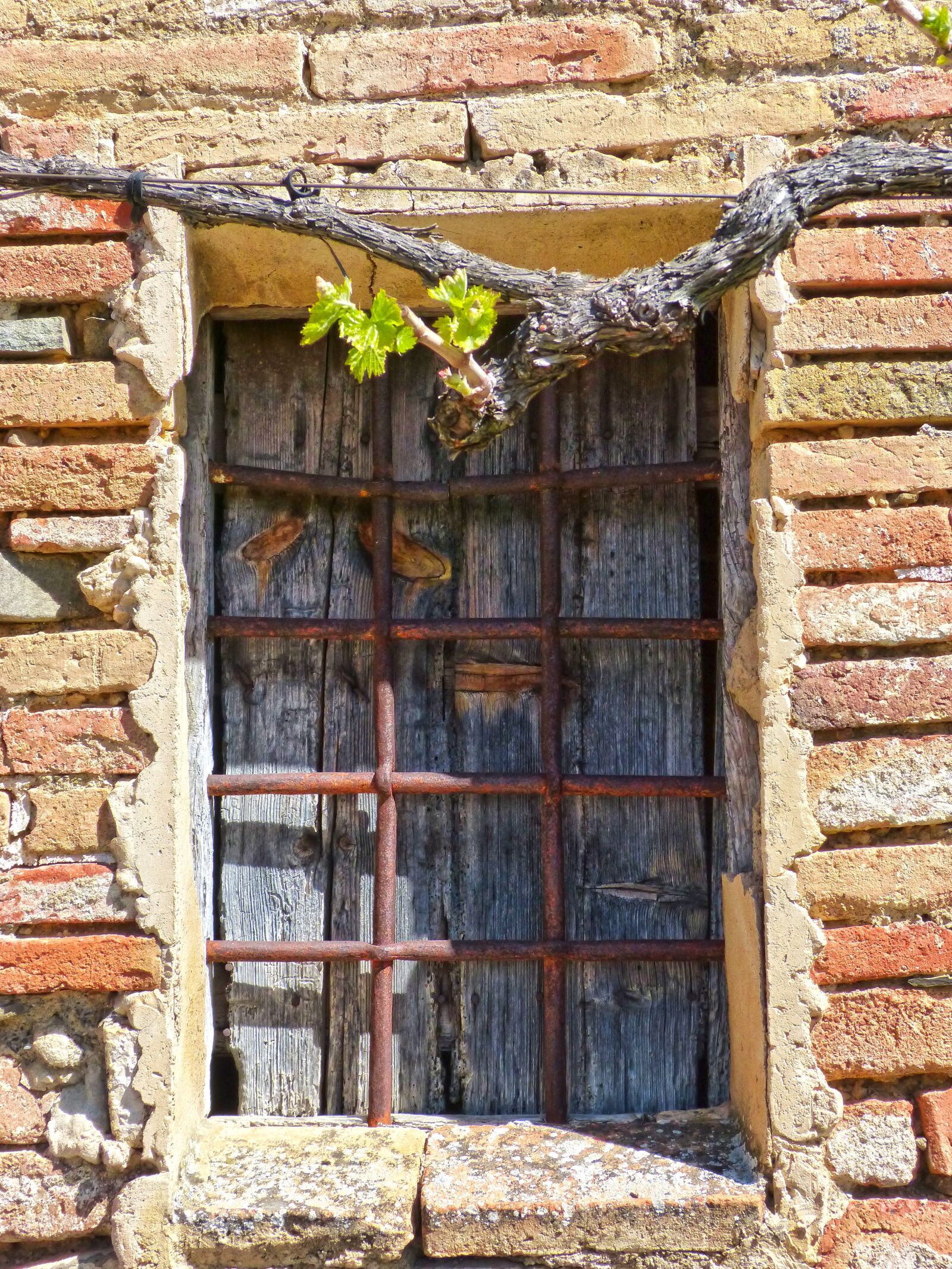 Panasonic DMC-FZ62 sample photo. Window, parra, balusters photography