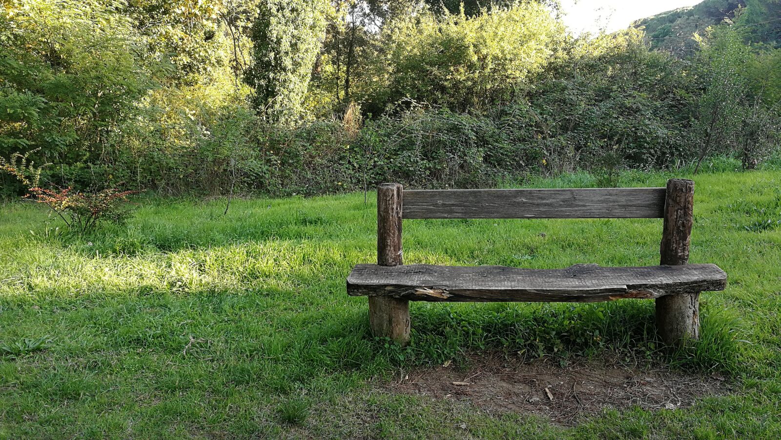 HUAWEI P10 sample photo. Nature, bench, solitude photography