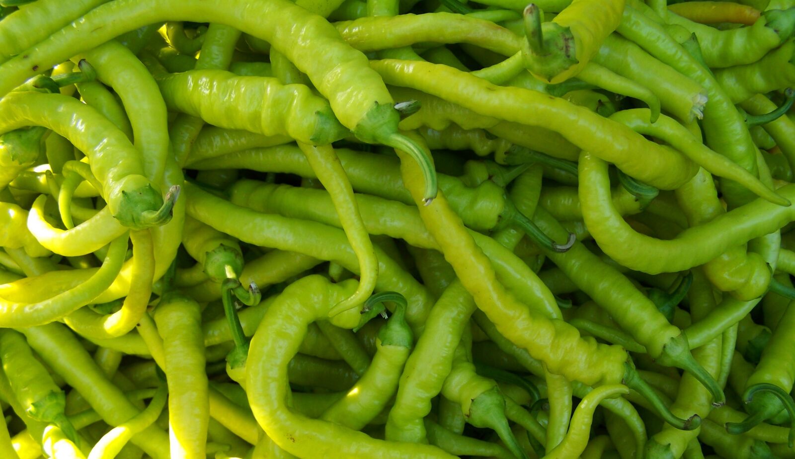 Kodak EASYSHARE ZD710 ZOOM DIGITAL CAMERA sample photo. Pepper, green pointed, vegetables photography