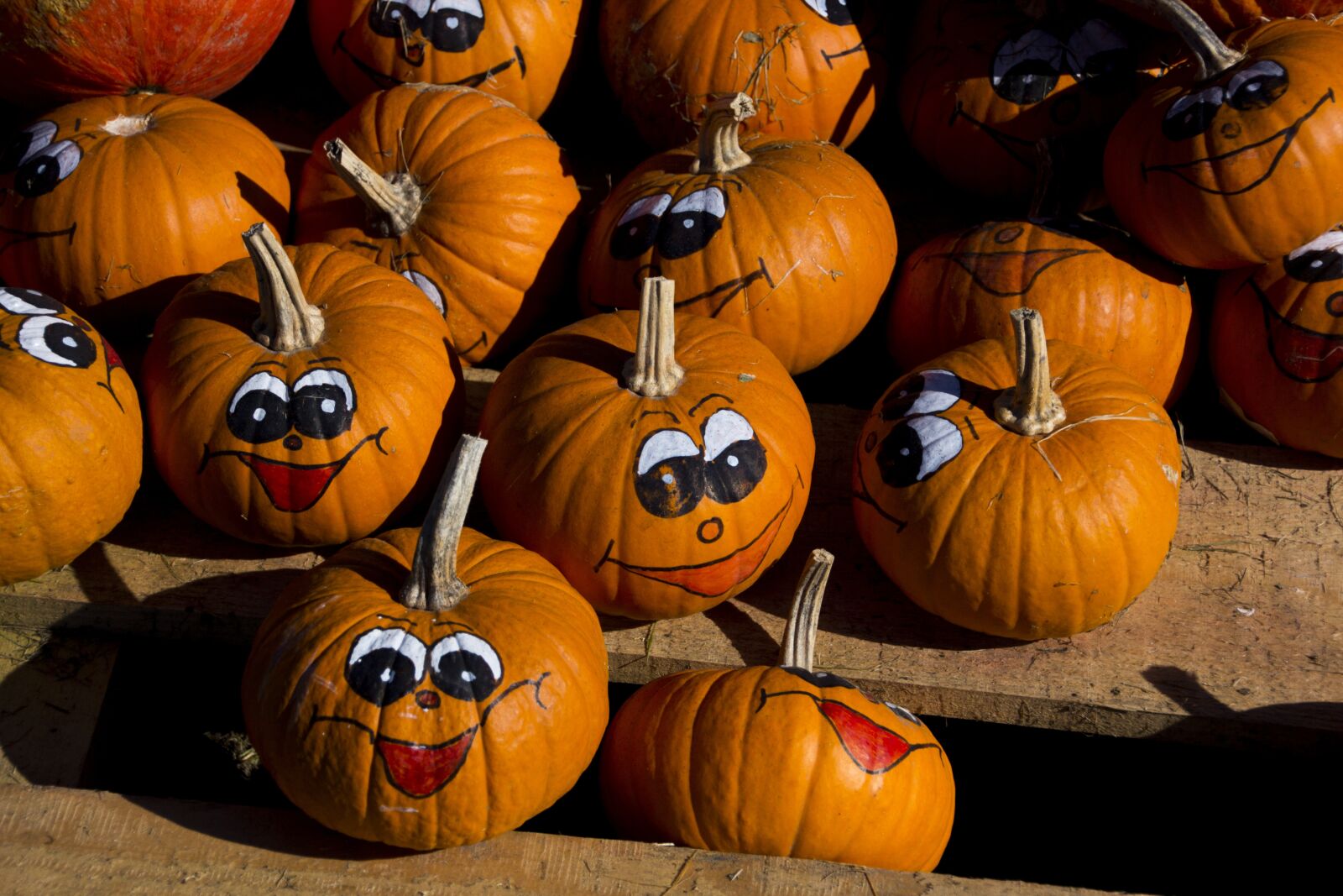Canon EOS 60D sample photo. Pumpkin, fruit, autumn photography