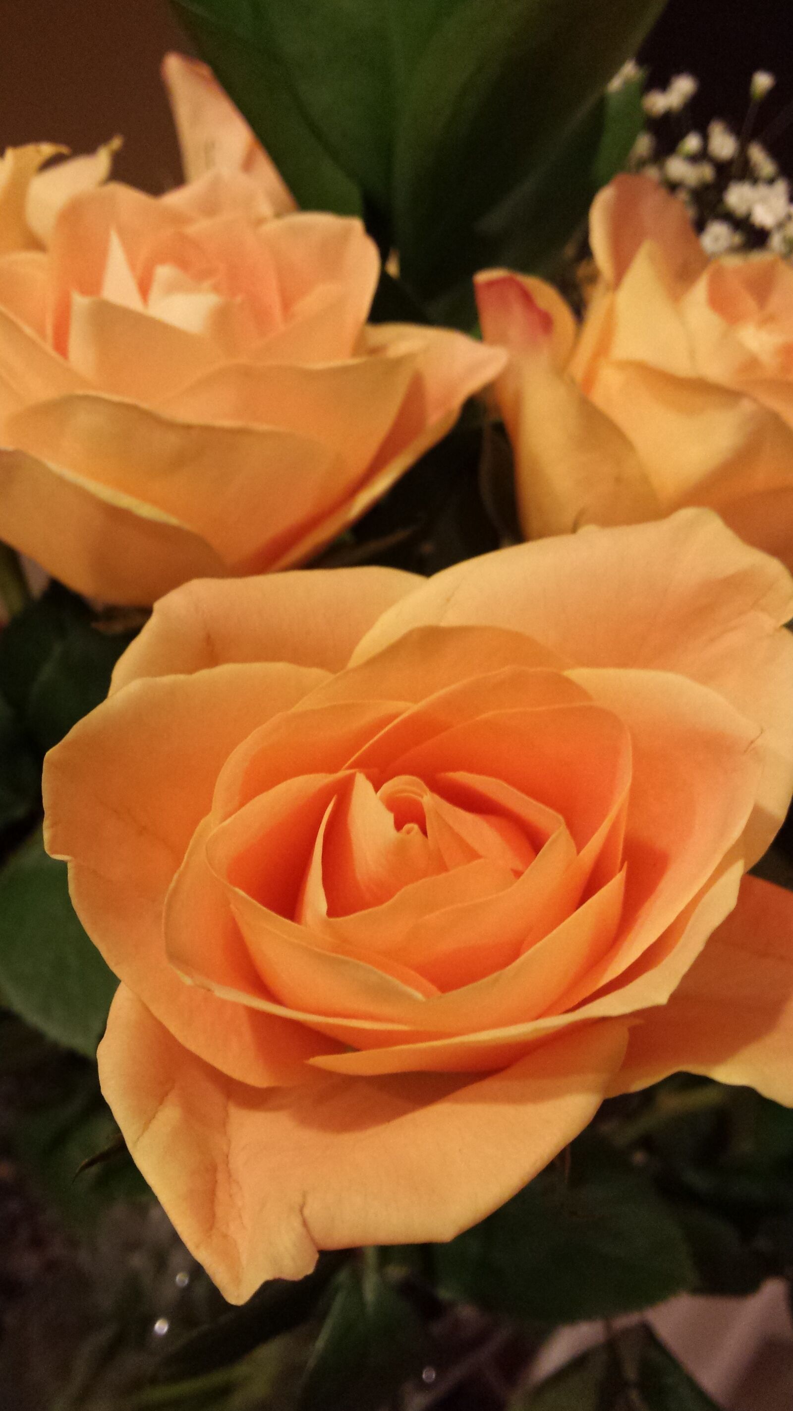 Samsung Galaxy S4 sample photo. Beautiful, flowers, golden, rose photography