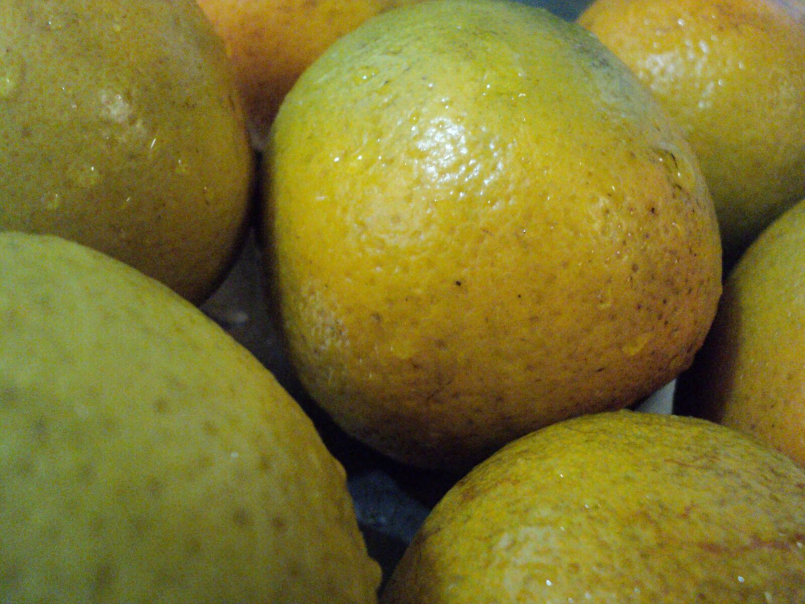 Sony DSC-S2000 sample photo. Oranges, up-close, fruit, plants photography
