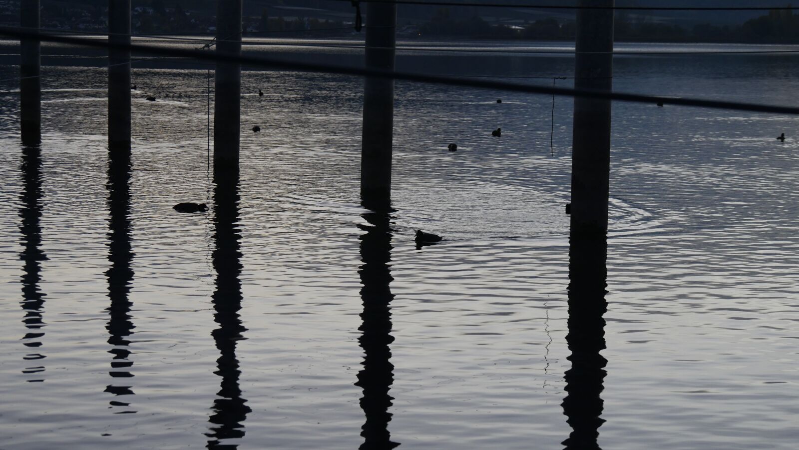 Panasonic Lumix DMC-GX8 sample photo. Water, lake, nature photography