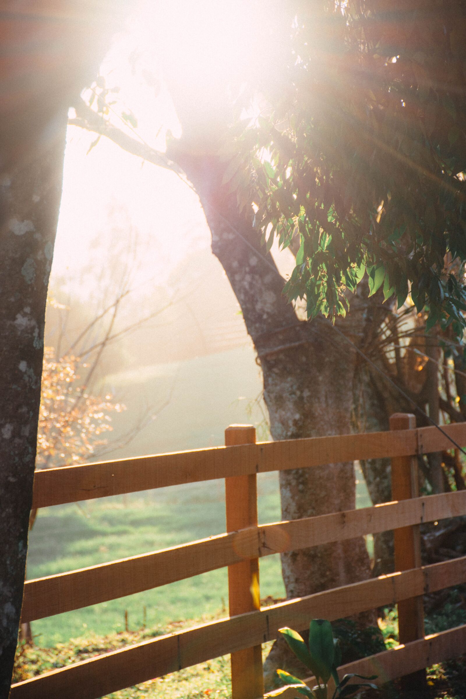 Nikon D7200 sample photo. Countryside, outdoor, landscape photography