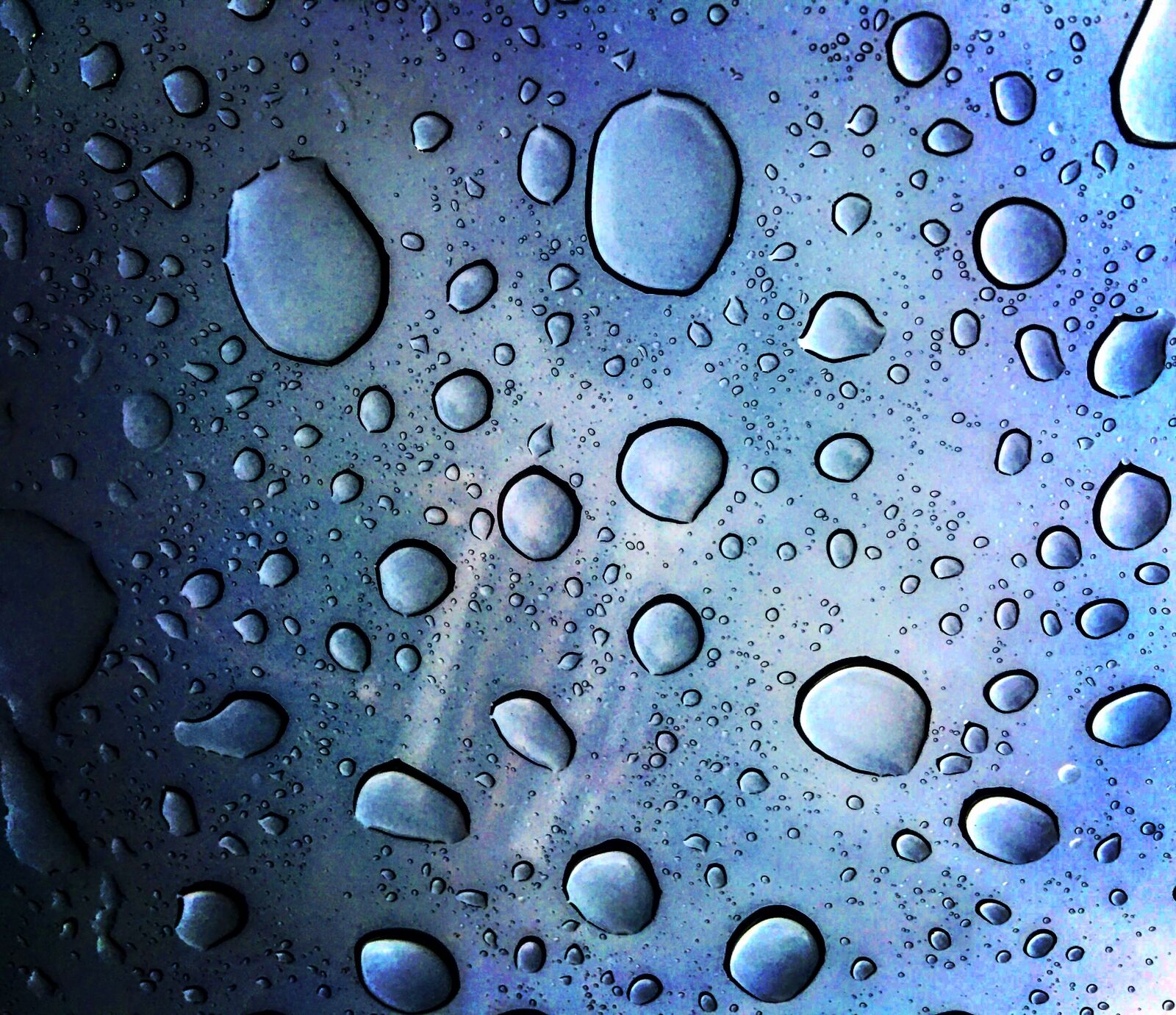 Apple iPhone 6s Plus sample photo. Water drops, rain drops photography