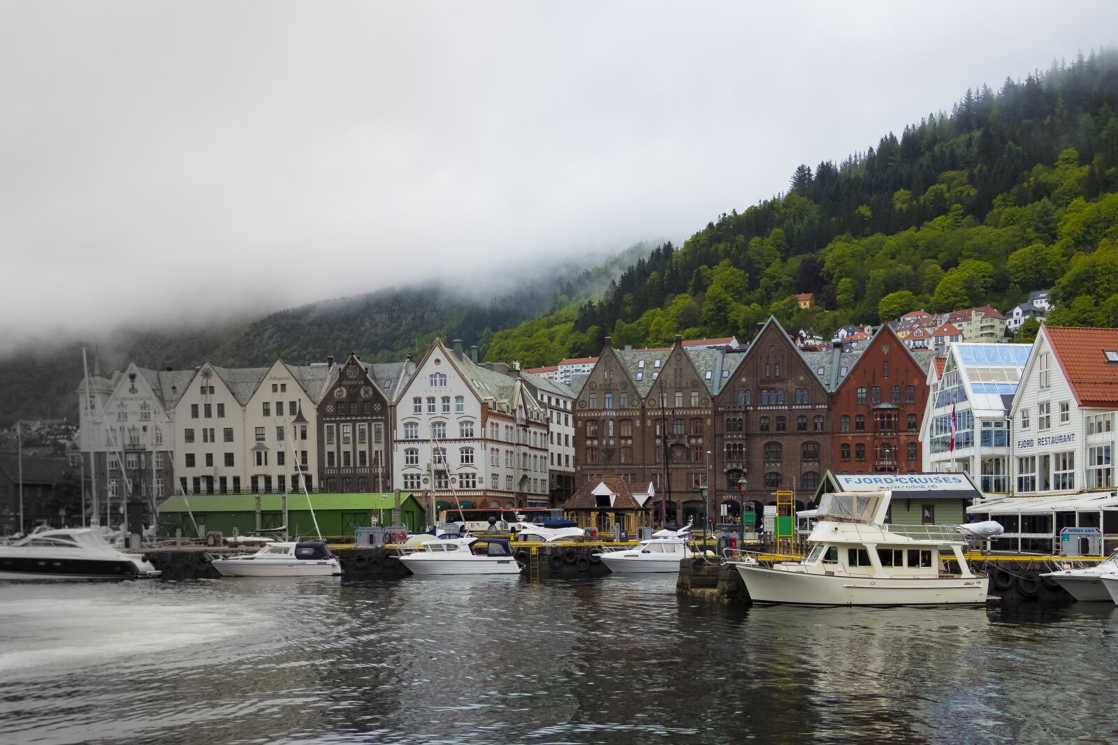 Canon EOS 80D sample photo. Norway, bergen, summer photography