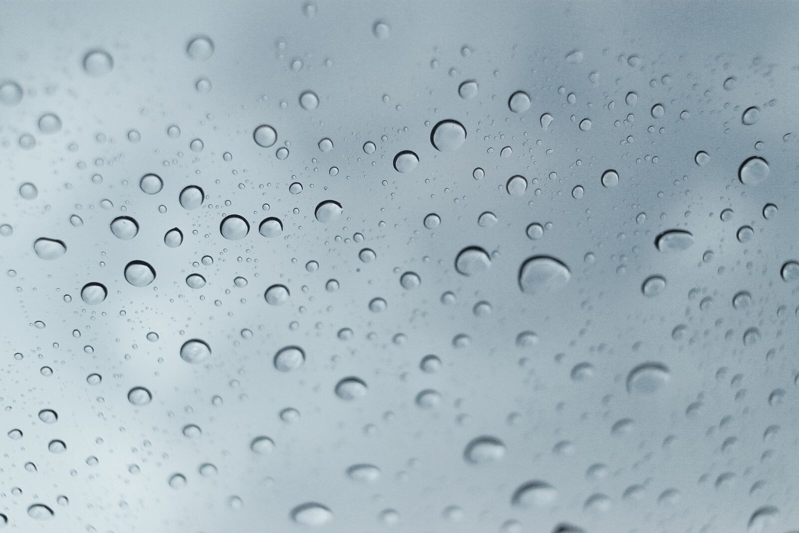 Canon EF-S 24mm F2.8 STM sample photo. Rain, water, droplets photography