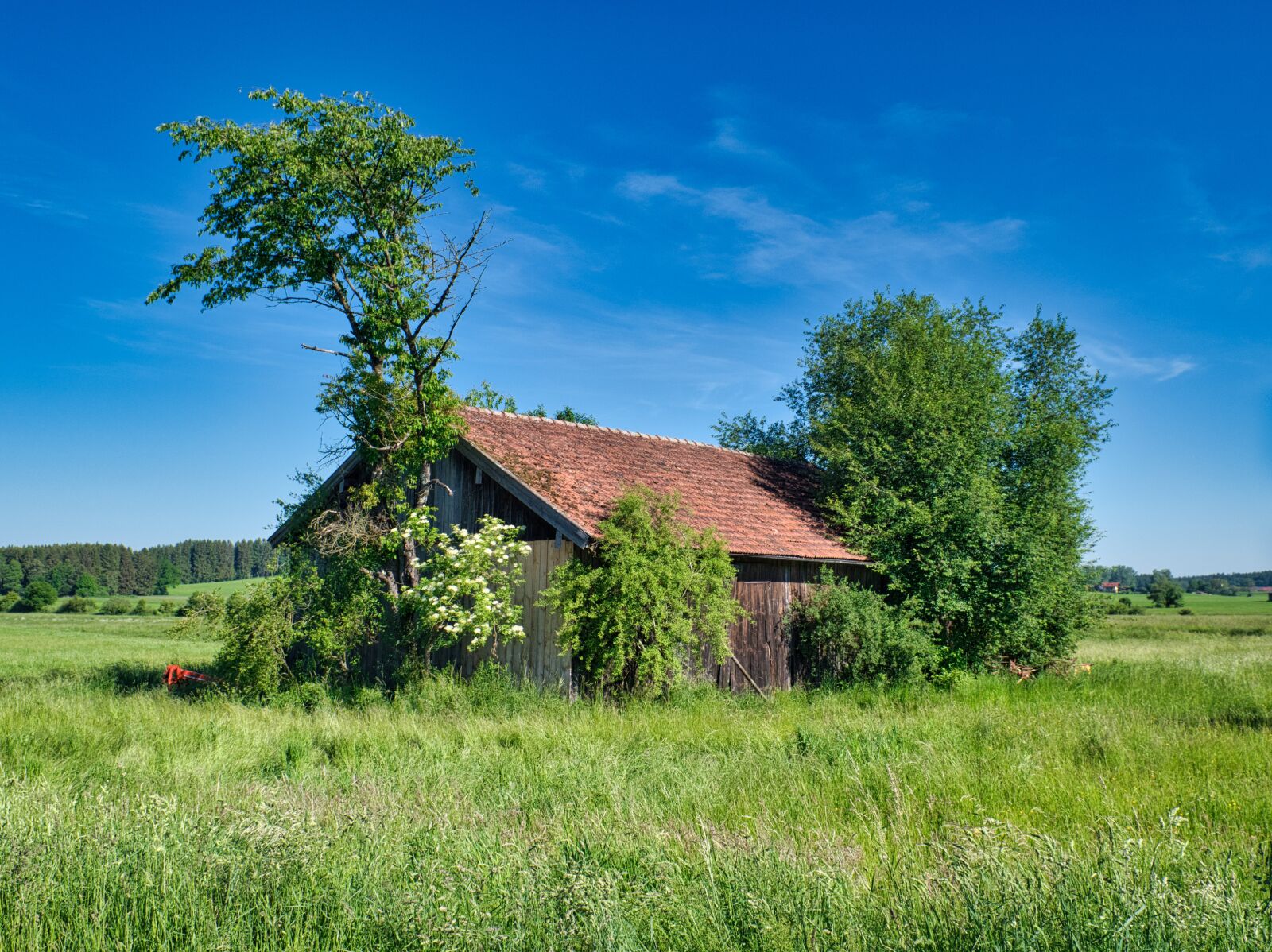 Nikon D7500 sample photo. Field barn, barn, scale photography