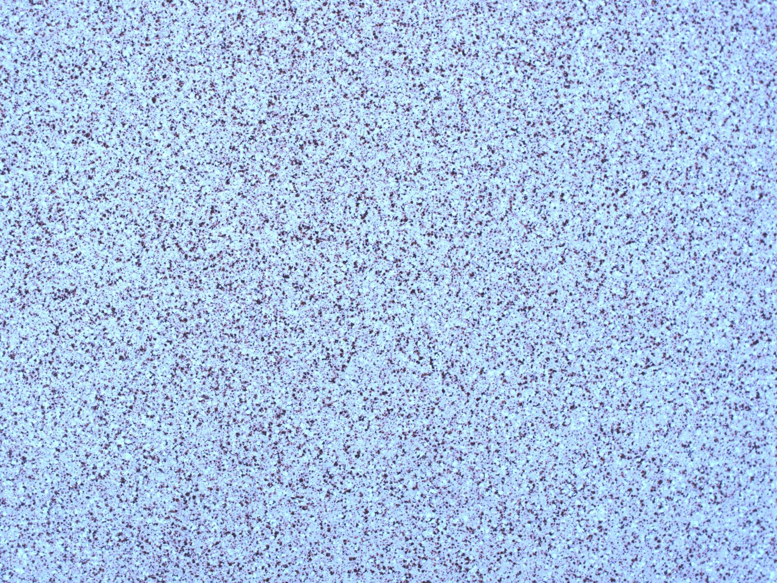 Olympus E-510 (EVOLT E-510) sample photo. Marbled, texture, stone photography