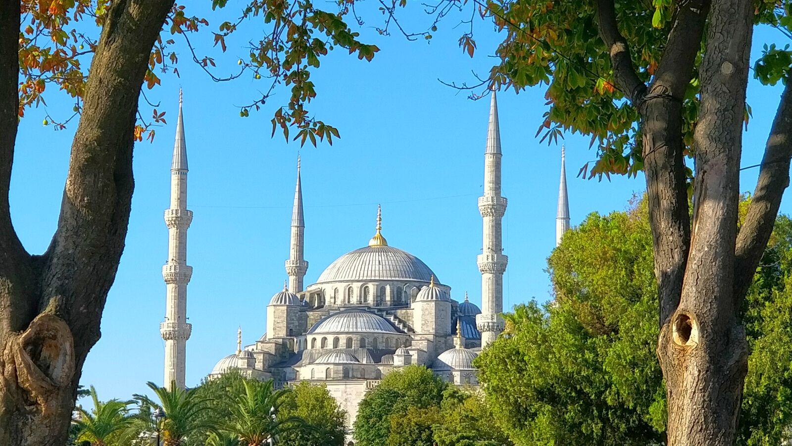 OnePlus 5 sample photo. Trees, mosque, green photography