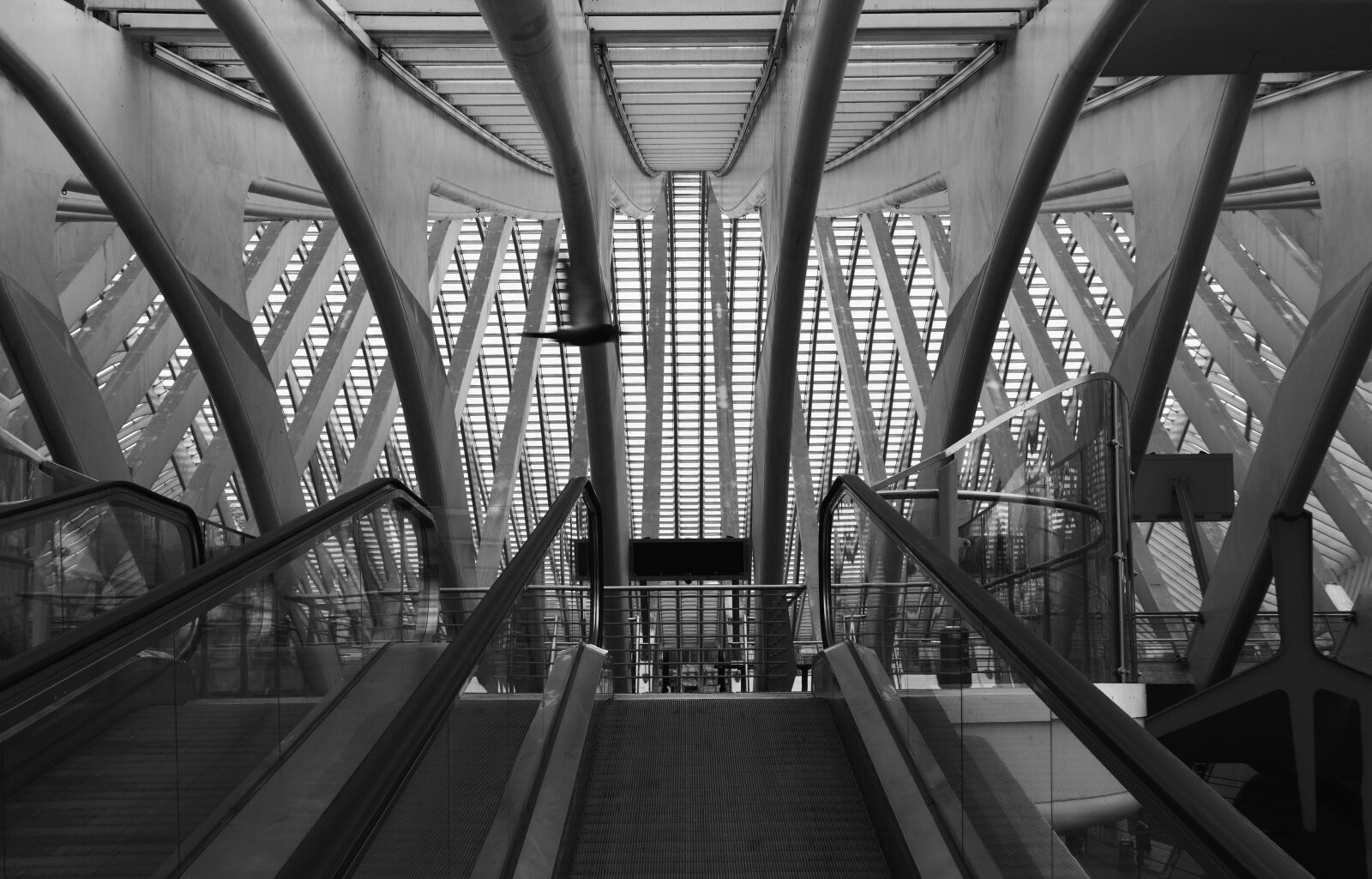 Canon EOS 80D sample photo. Railway station, liege, li photography