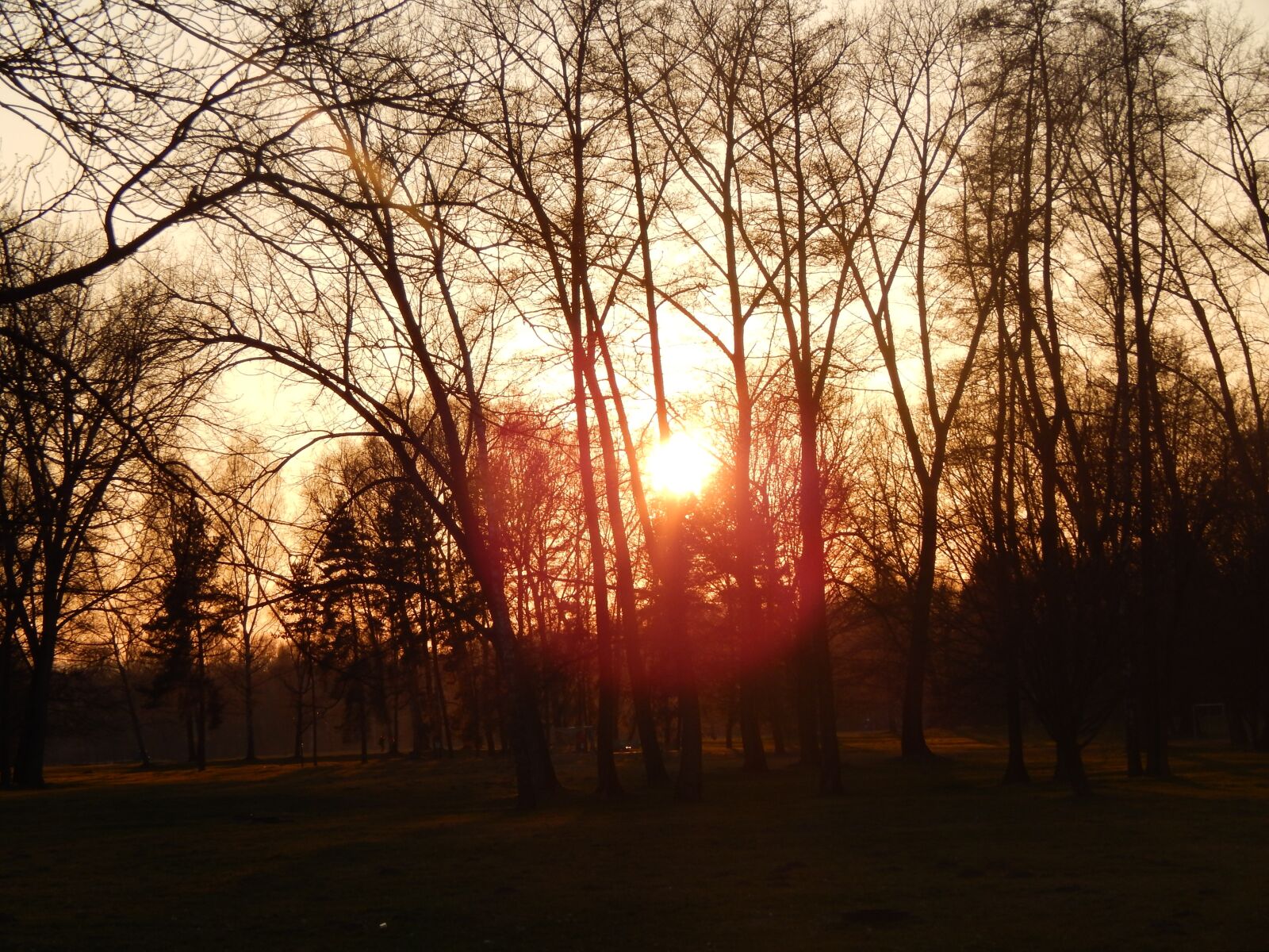 Nikon Coolpix L820 sample photo. Sun, west, spring photography
