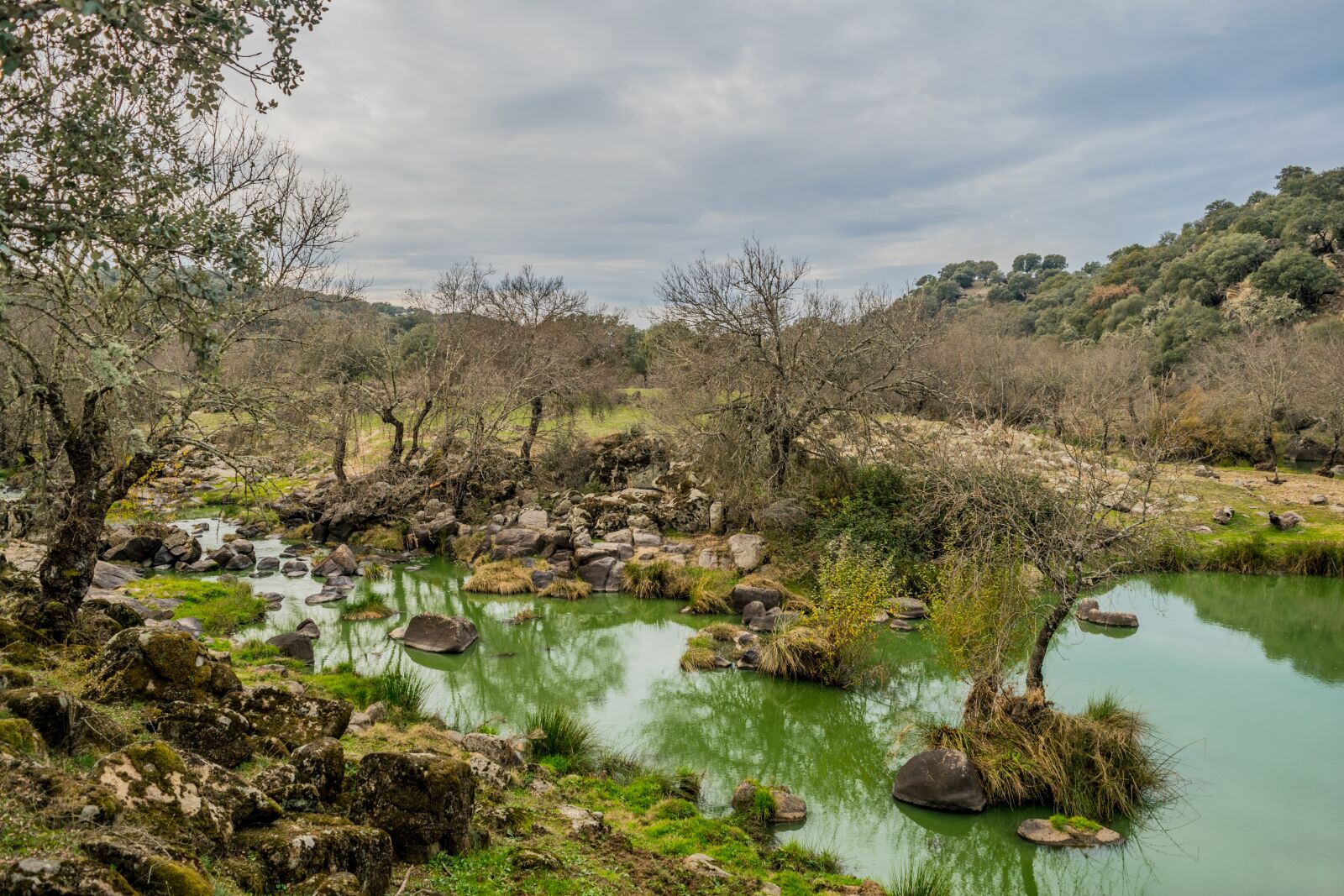 Nikon D3300 sample photo. Navalcan, path of the photography