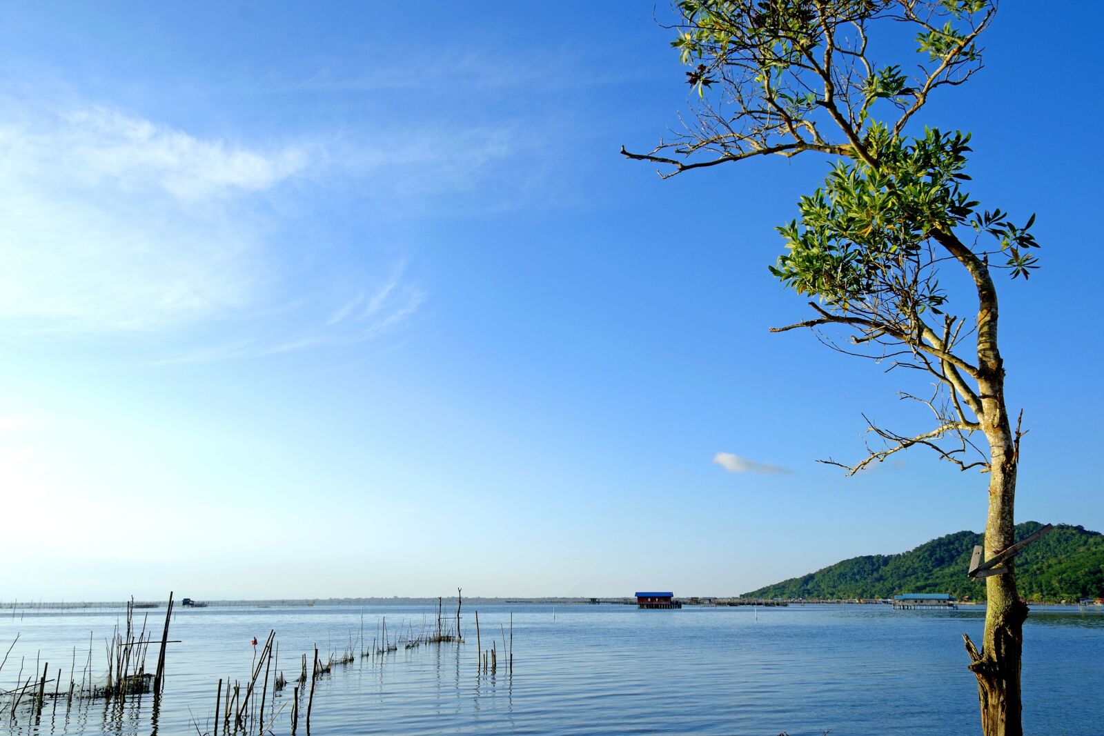 Nikon D5300 sample photo. Asia, asian, blue photography