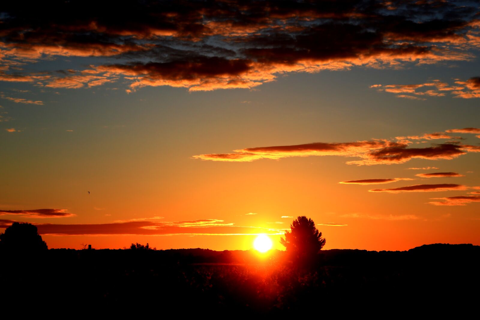 Canon PowerShot G1 X Mark III sample photo. Sunset, nature, cloud photography