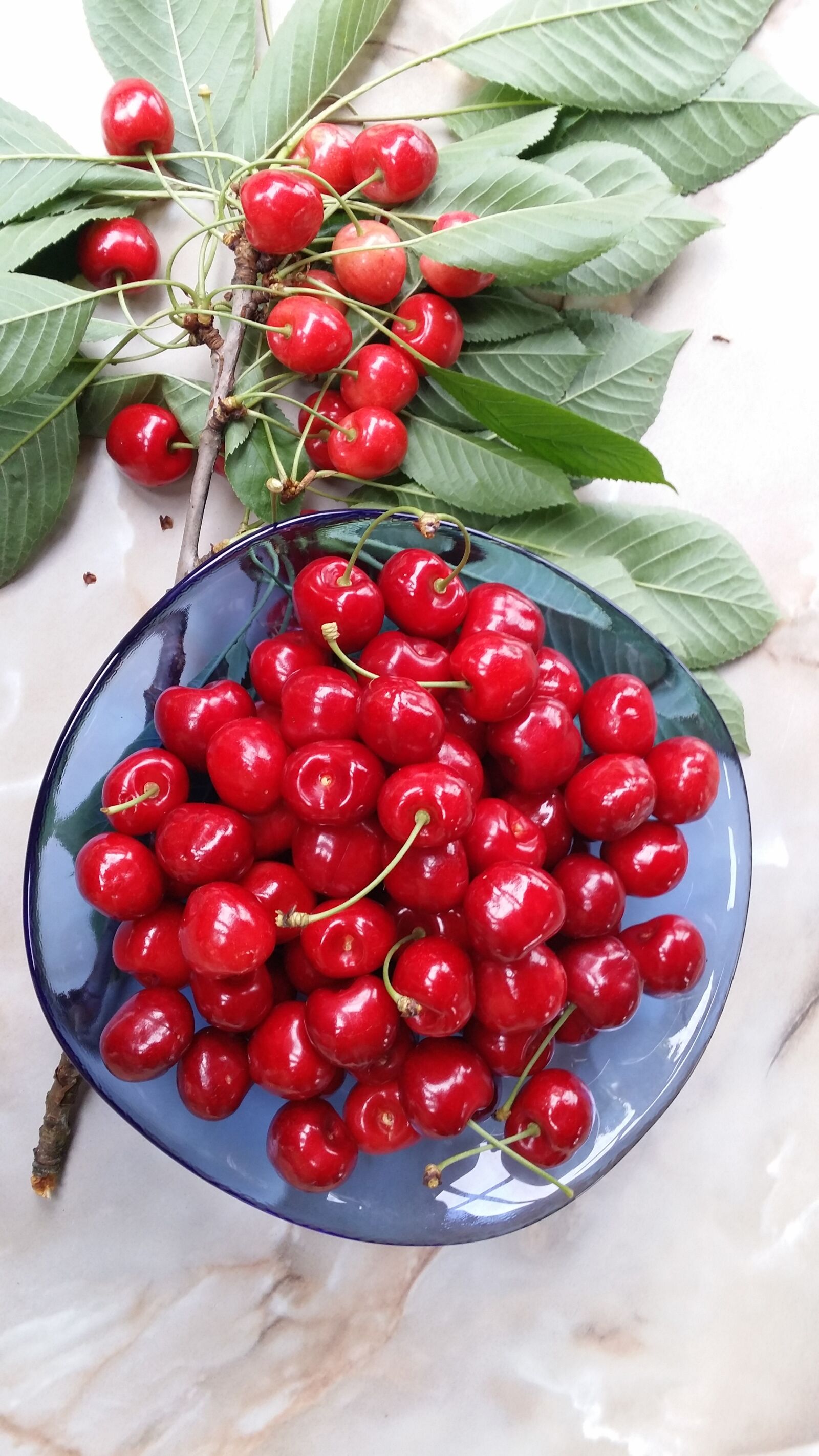 Samsung Galaxy S4 sample photo. Cherries, summer, tree photography
