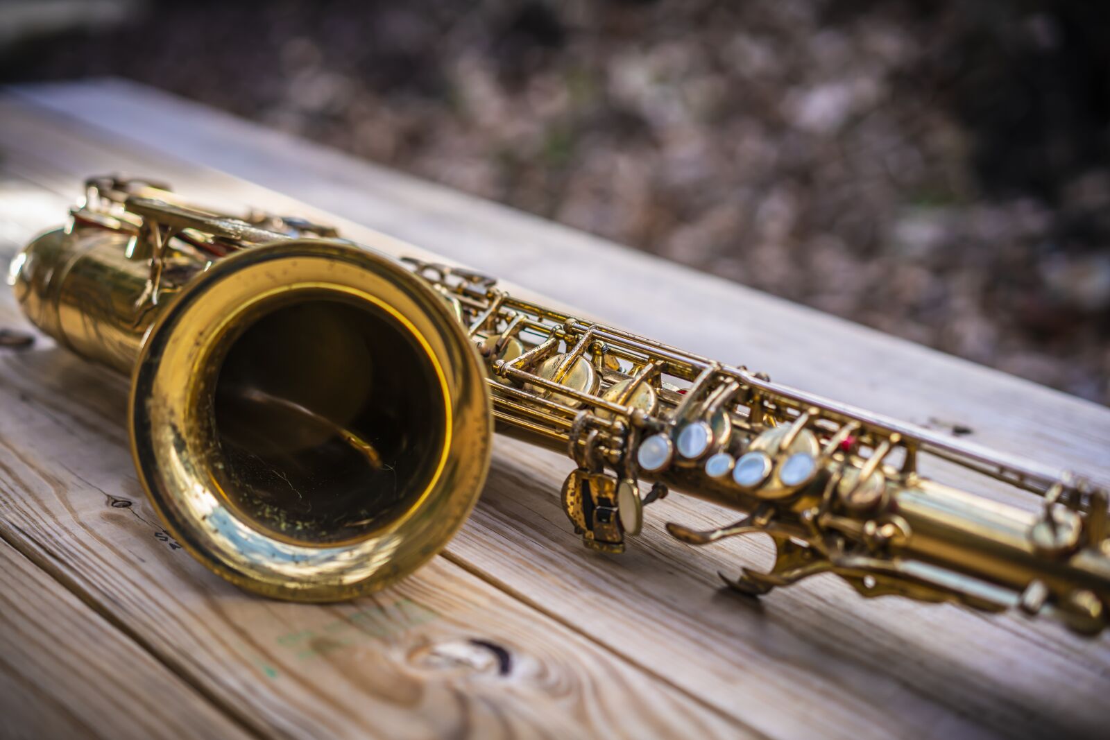 Sony Sonnar T* FE 55mm F1.8 ZA sample photo. Sax, saxophone, jazz photography