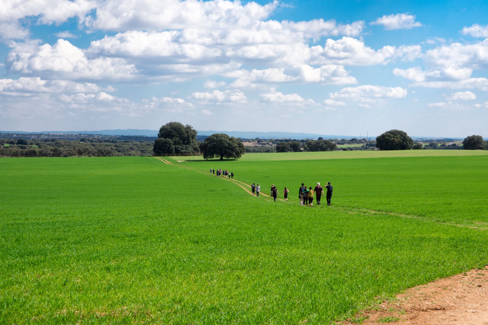 Nikon D7200 sample photo. Hiking, nature, madrid photography