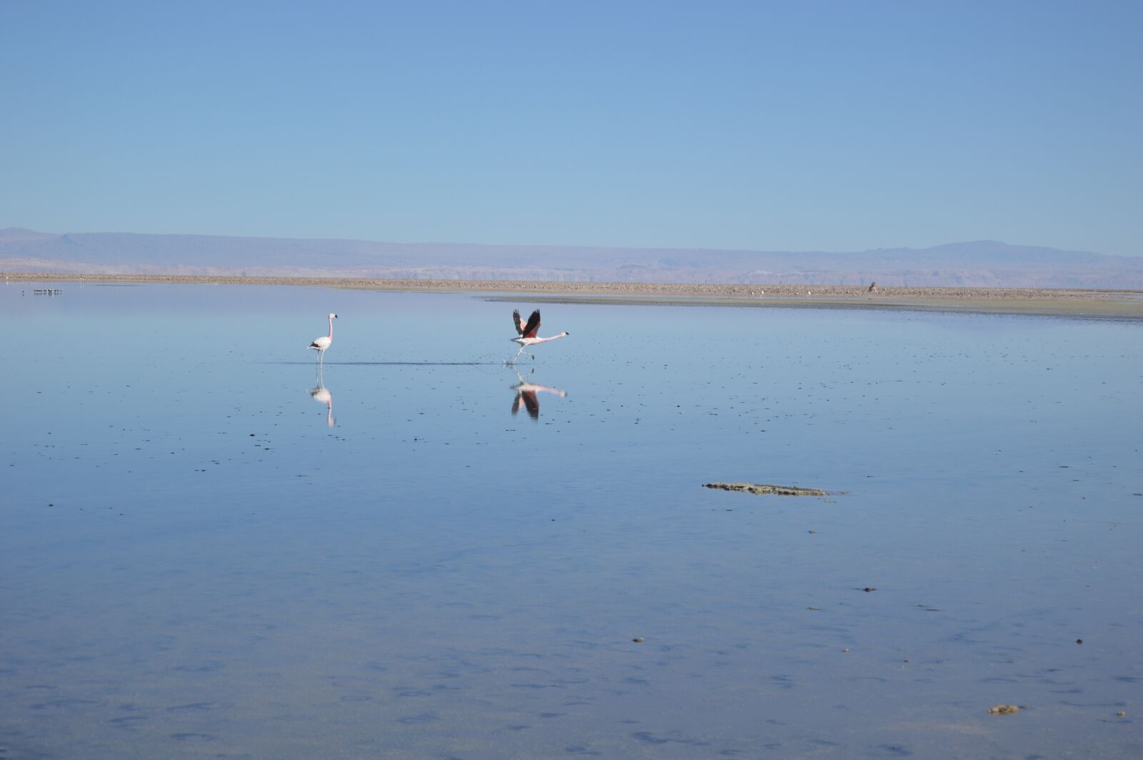 Nikon D3200 sample photo. San pedro de atacama photography
