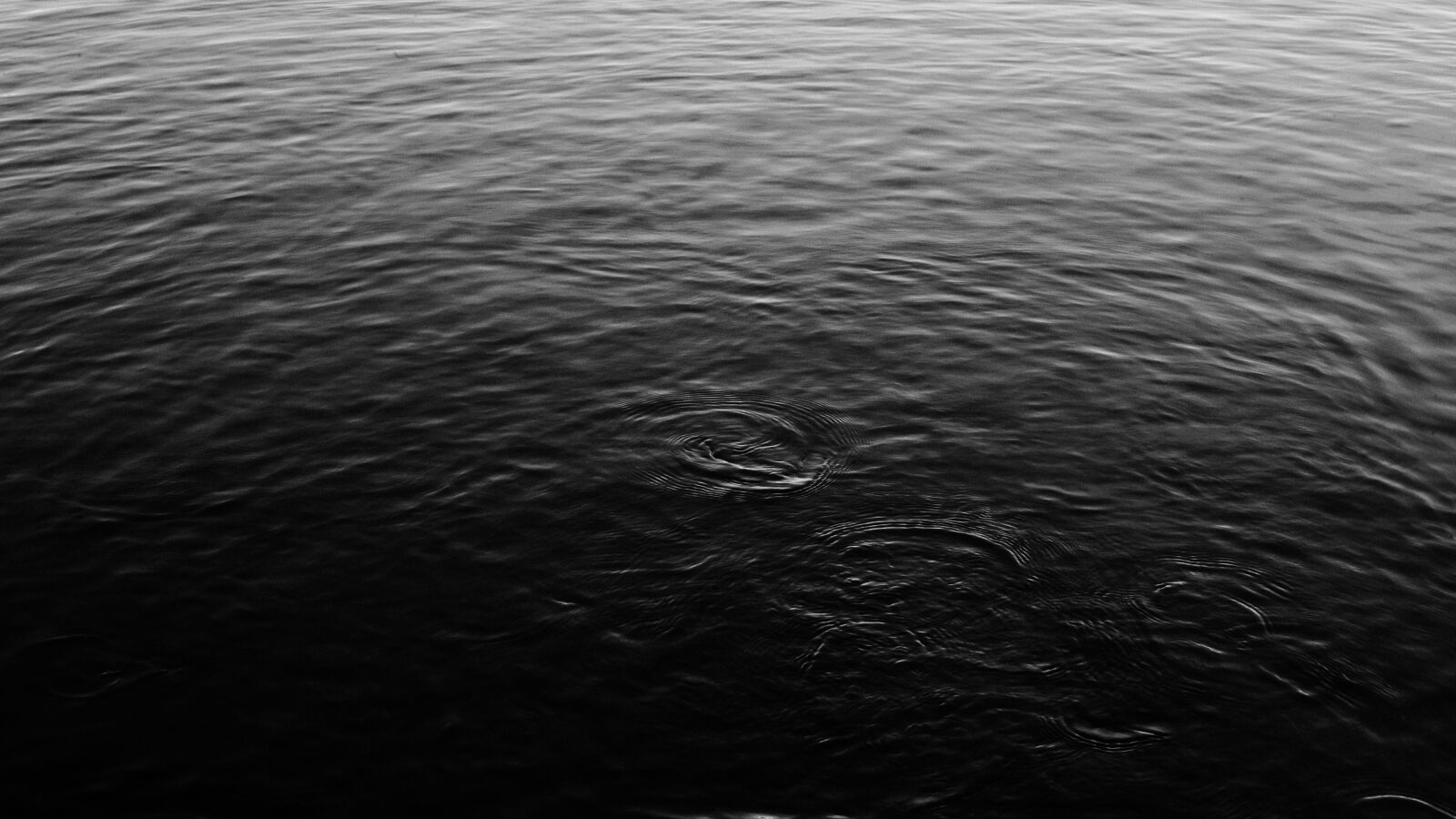 Canon EOS 6D + Canon EF 50mm F1.4 USM sample photo. Black, and, white, water photography