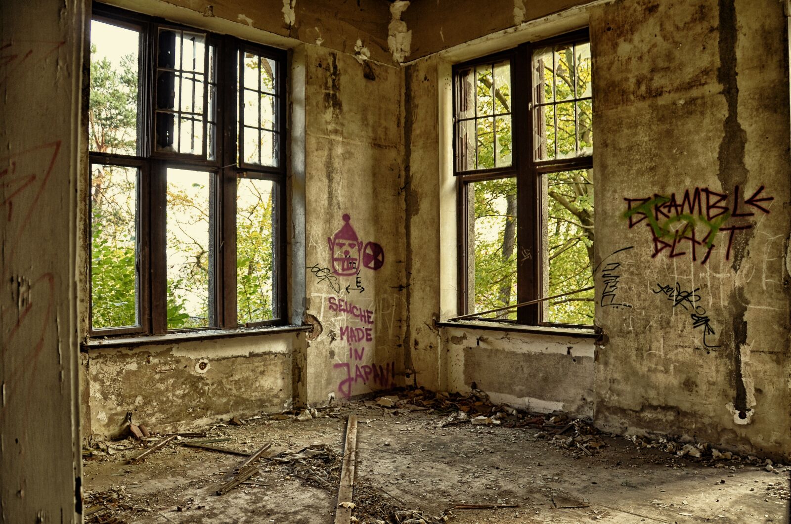 Nikon D5100 sample photo. Ruin, villa, lapsed photography