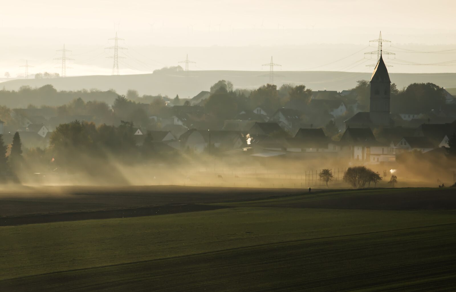 Nikon D5500 sample photo. Fog, landscape, forest photography