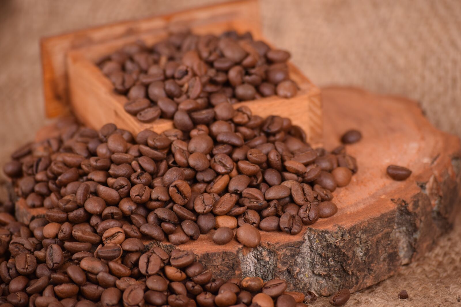 Nikon D3300 sample photo. Coffee, caffeine, seed photography