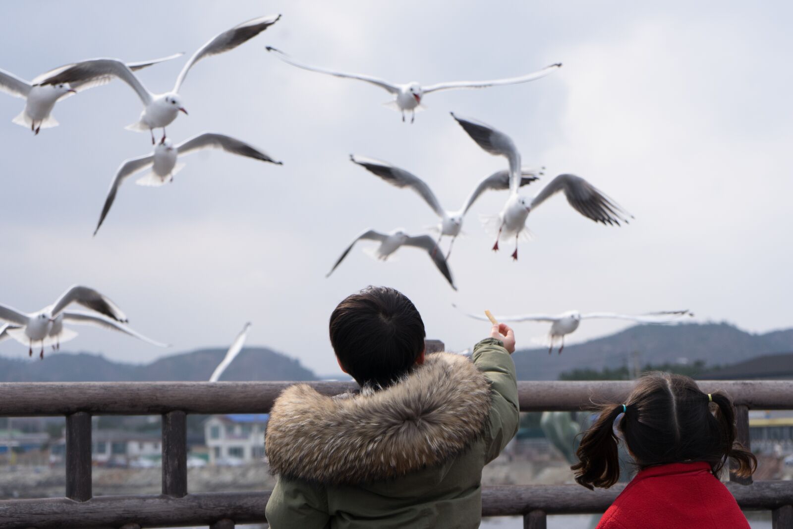 Sony a7 II + Sony FE 28-70mm F3.5-5.6 OSS sample photo. Children, joke, seagull photography