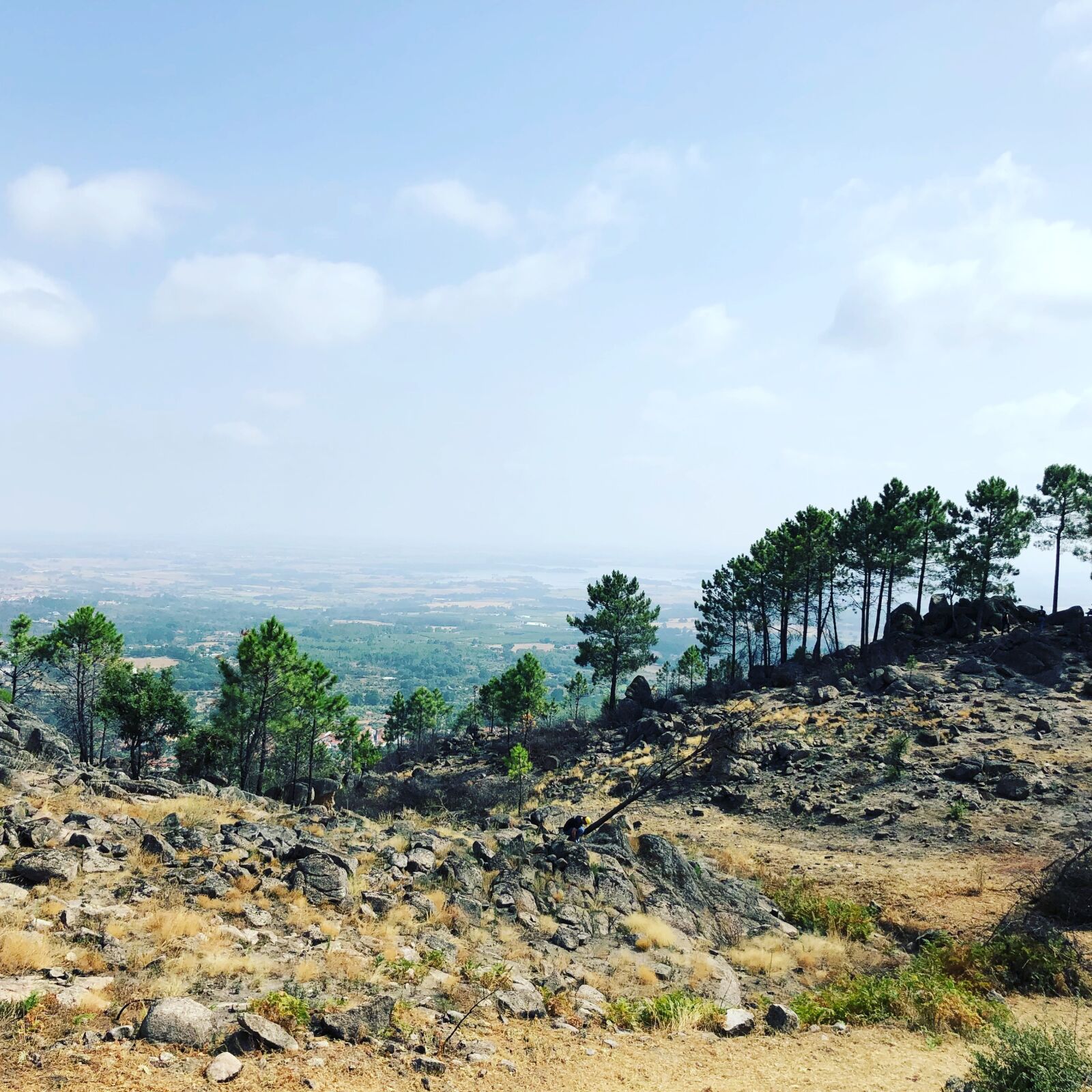 iPhone X back dual camera 4mm f/1.8 sample photo. Portugal, landscape, trees photography