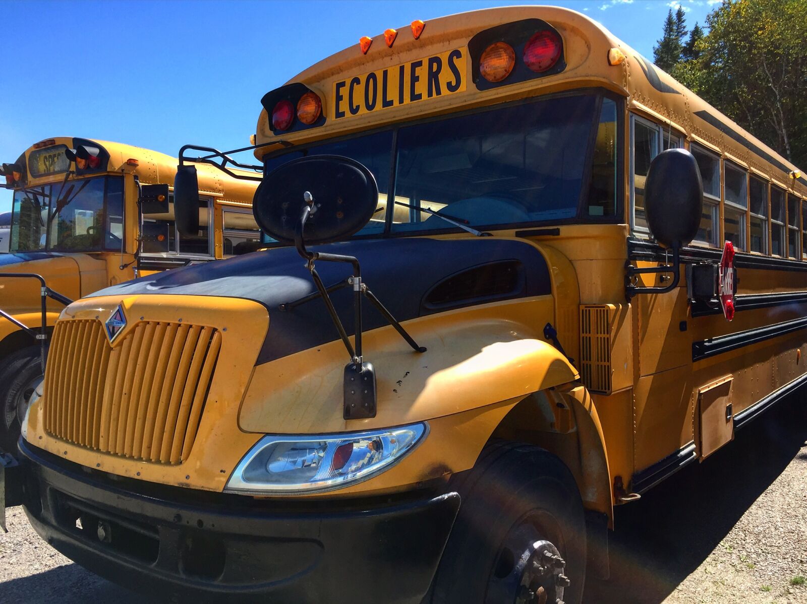 Apple iPhone 6 sample photo. Bus, canada, school photography
