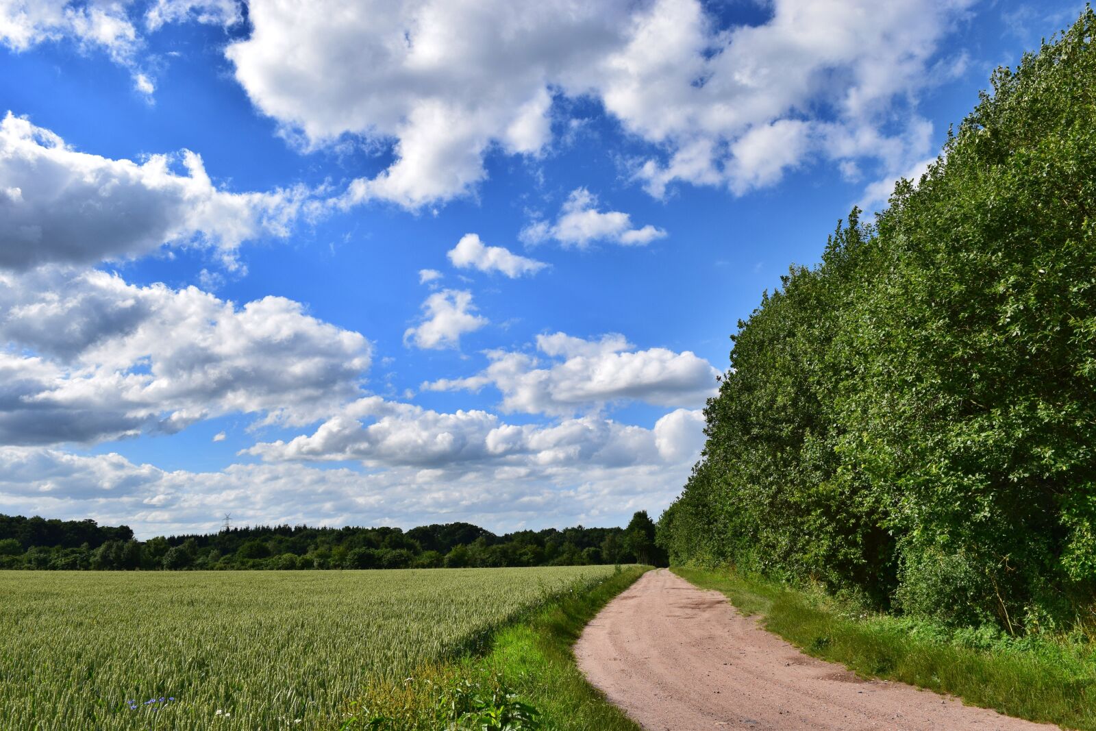 Nikon D3300 sample photo. Field, away, sky photography