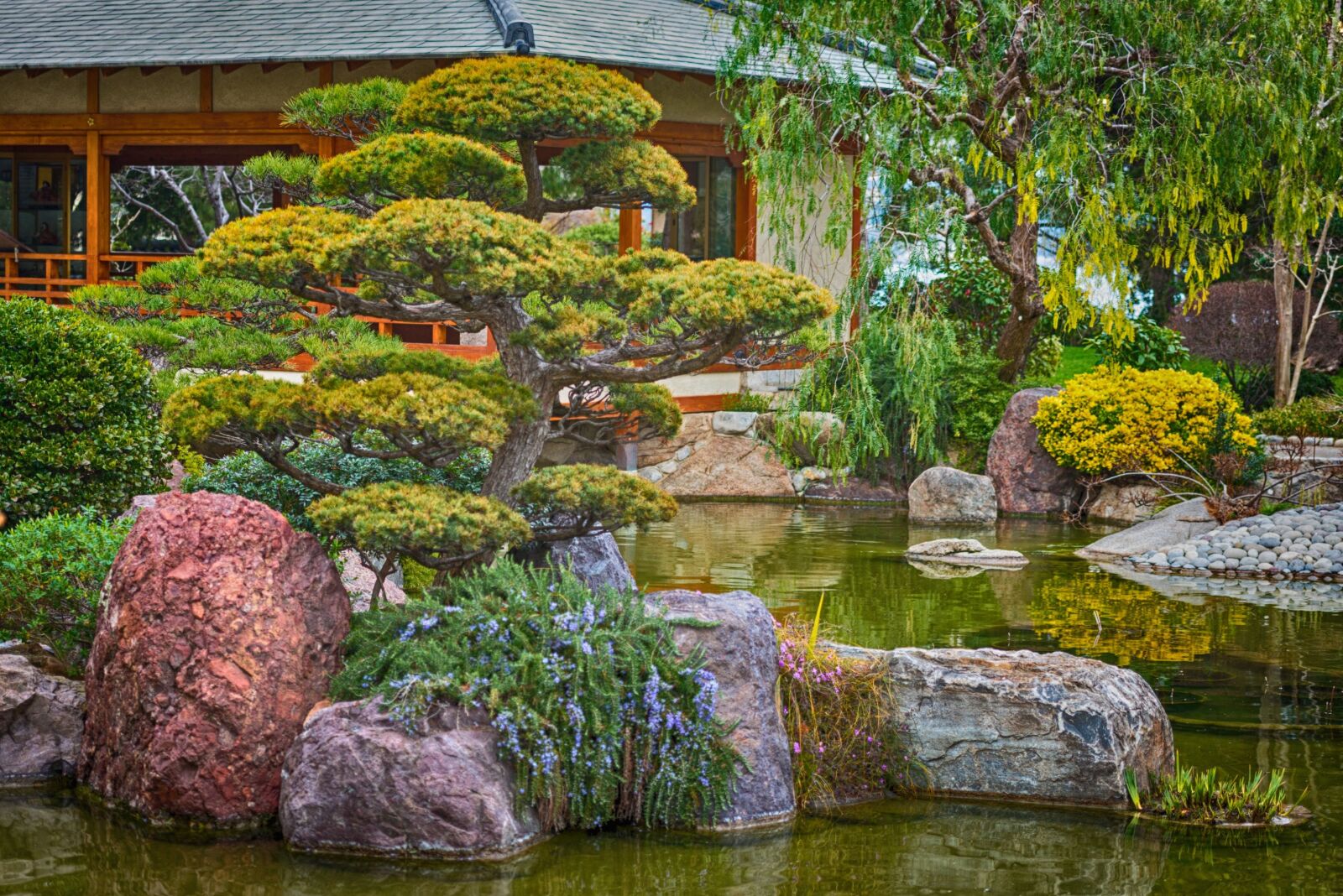 Nikon D800 sample photo. E g, japan, garden photography