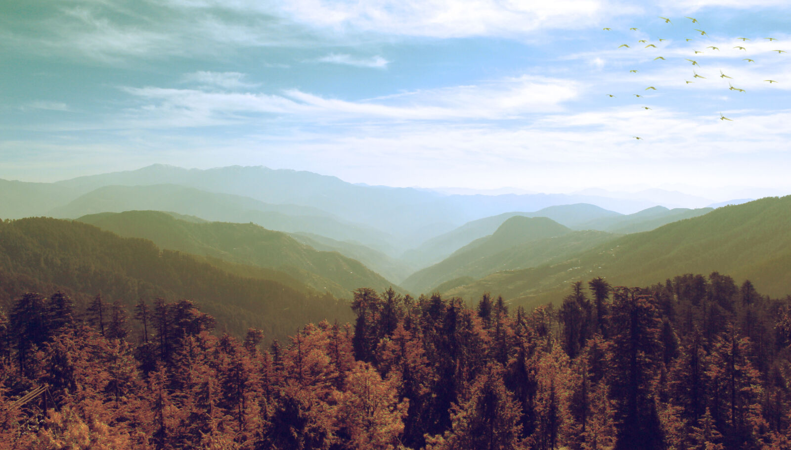 Canon EOS 700D (EOS Rebel T5i / EOS Kiss X7i) sample photo. Birds, daylight, fog, himalayas photography