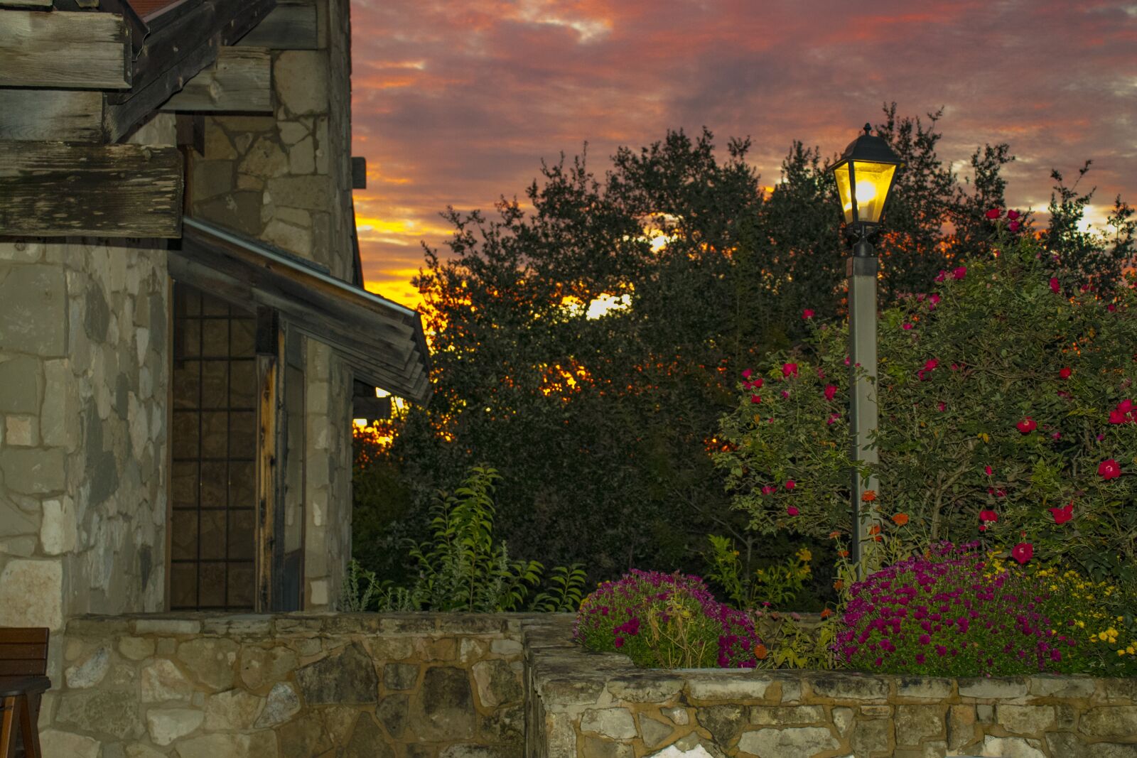Canon EOS 800D (EOS Rebel T7i / EOS Kiss X9i) sample photo. Sunrise, flowers, street lamp photography