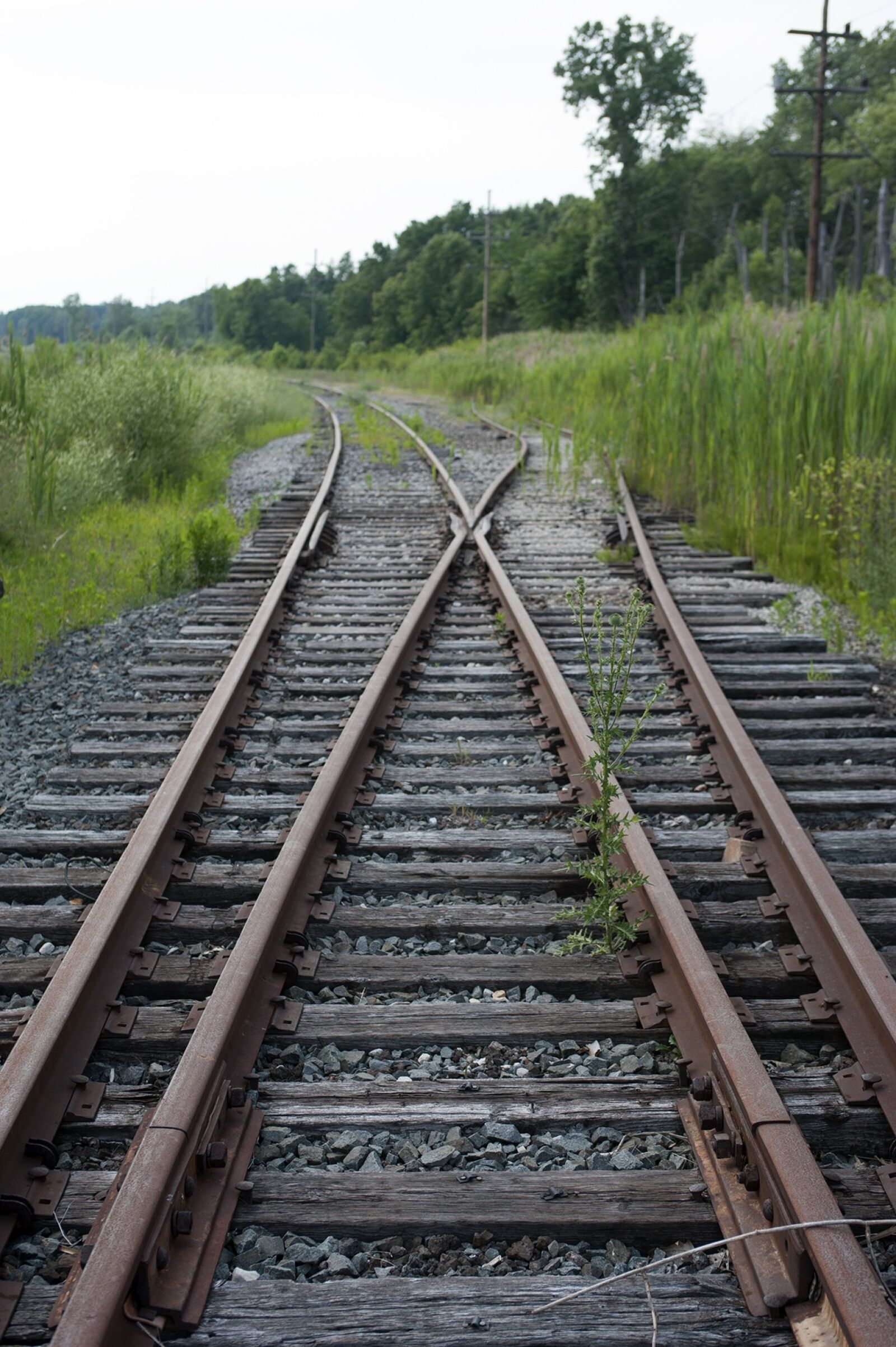 Nikon D700 sample photo. Outdoors, railroad, tracks photography