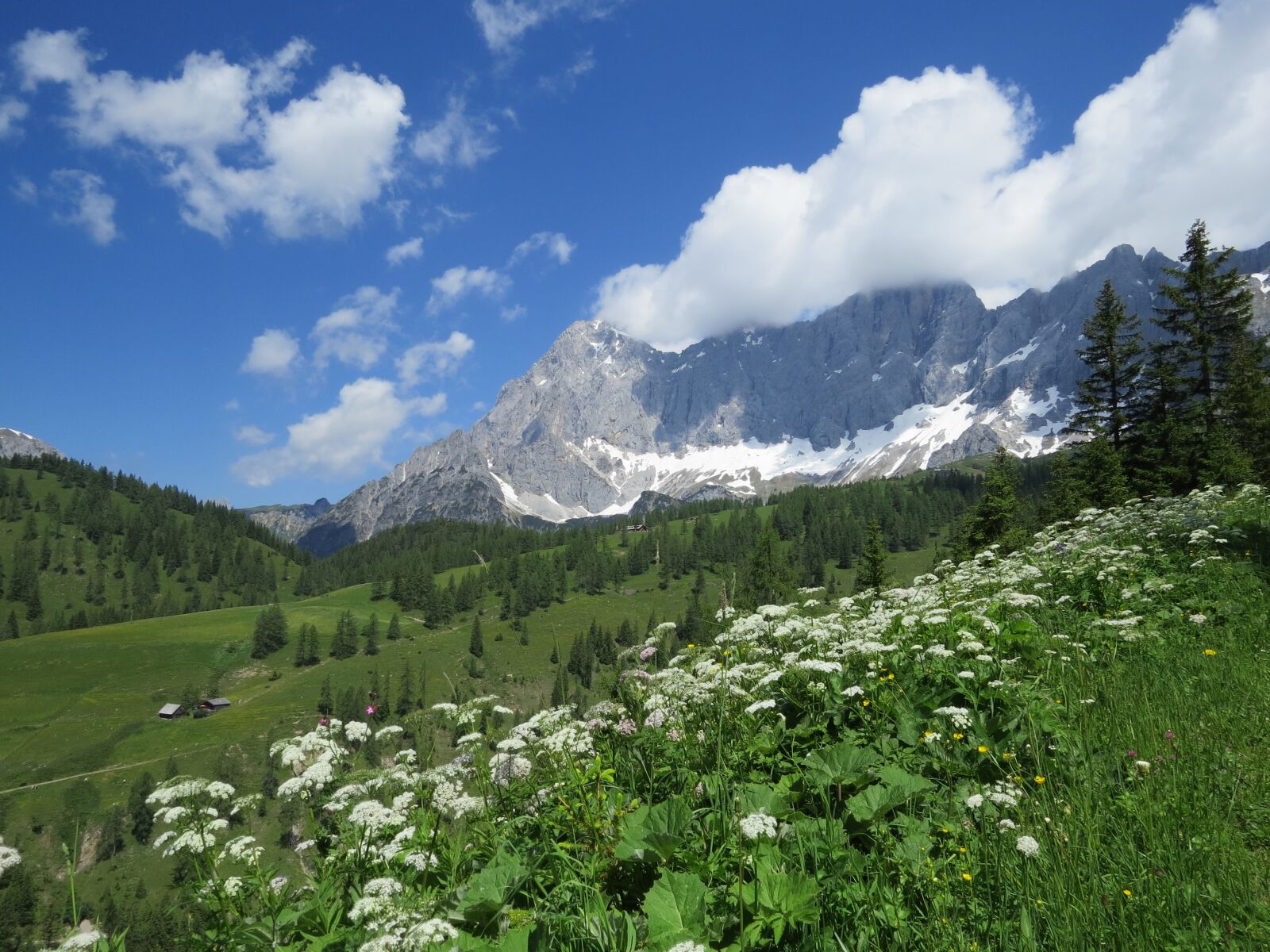 Canon PowerShot SX50 HS sample photo. Dachstein, view, mountains photography
