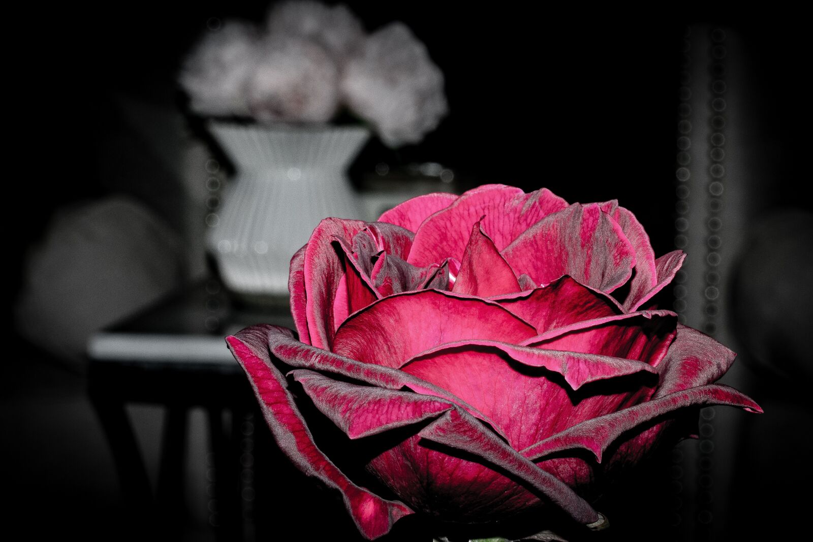 Nikon D7500 sample photo. Flower, rose, love photography