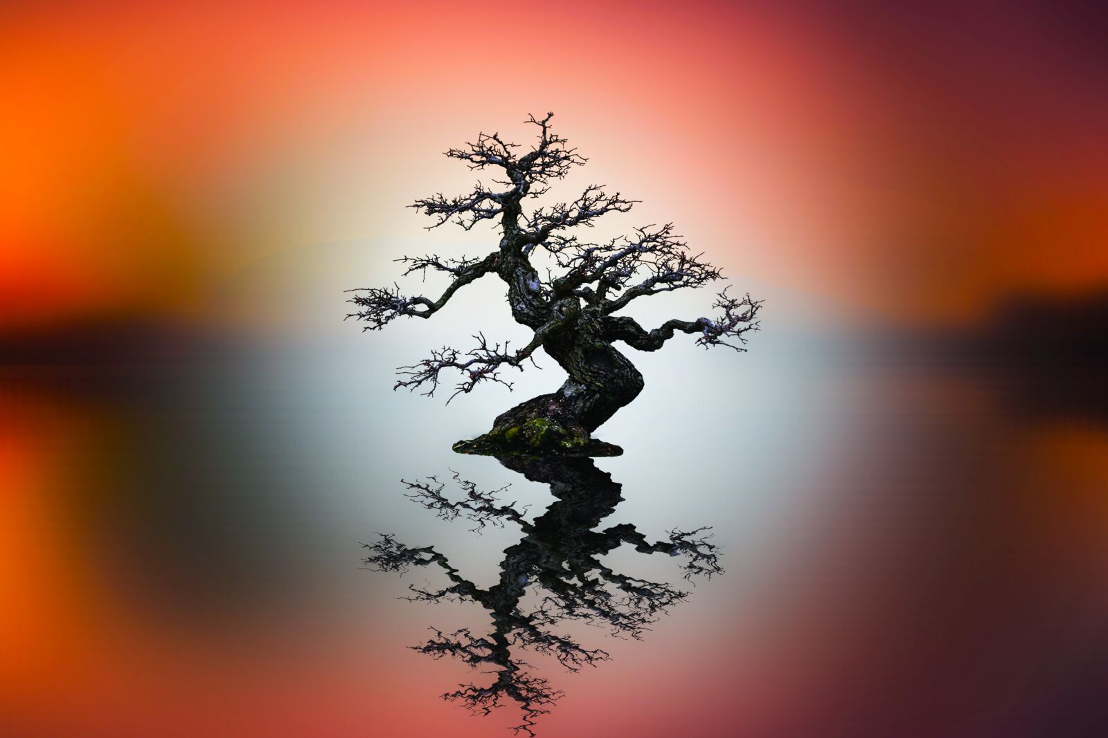 Canon EF 24-105mm F4L IS USM sample photo. Sunset, tree, sun photography
